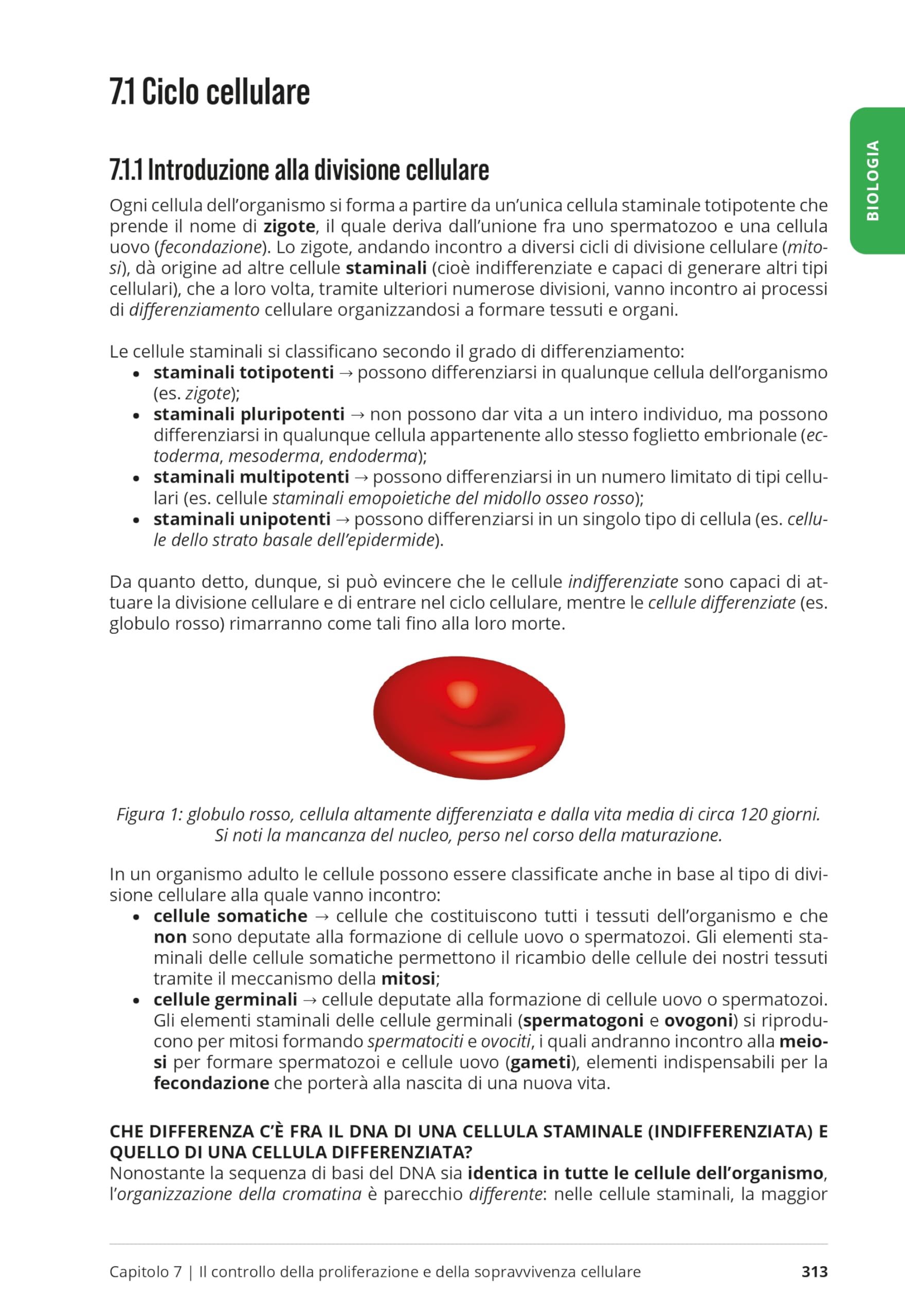 Testbusters. Kit semestre filtro 2026/2027. Con software di simulazione