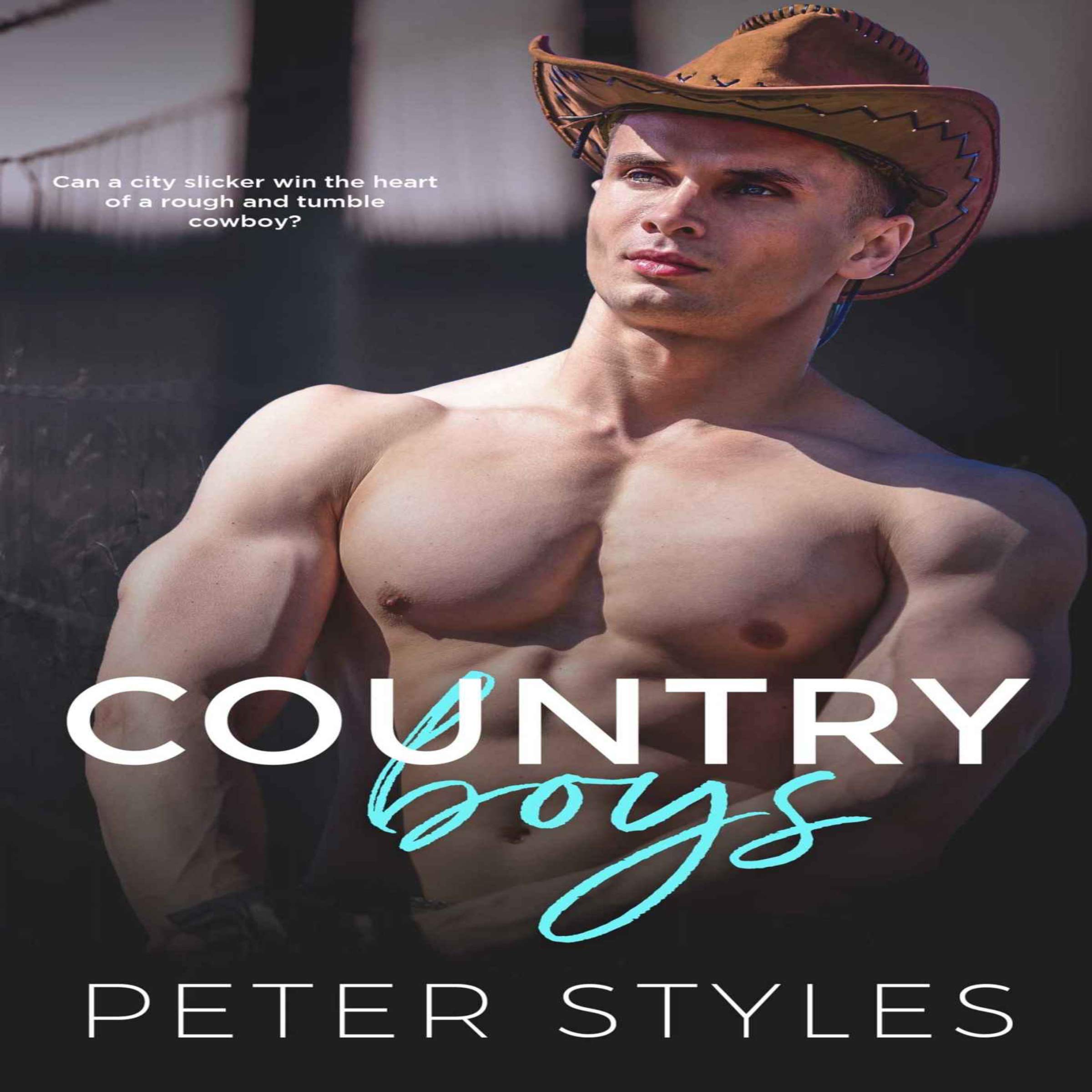 Country Boys: A Friends to Lovers Second Chance Gay Romance