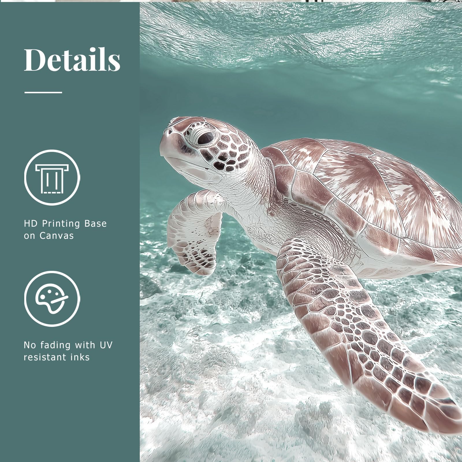 プリントw/フレーム【Colorfornia beautiful ocean】 Amazon.com: Beach Coastal Wall Art 6 Piece preppy Beachy