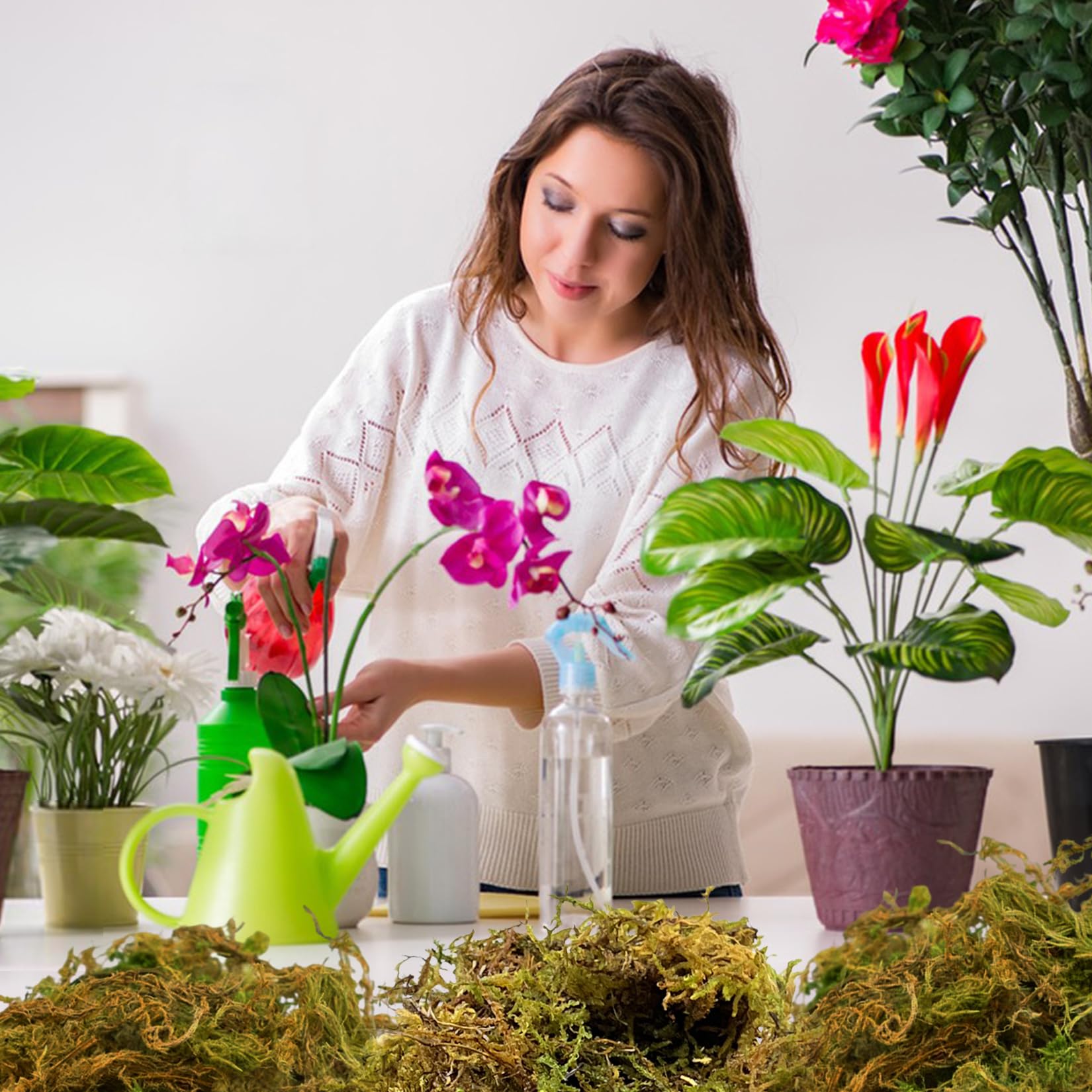 500g Sfagno per Piante Muschio di Sfagno Naturale Compresso per Le Piante del Vaso Dell'orchidea Che Coltivano La Pianta del Fiore Domestico