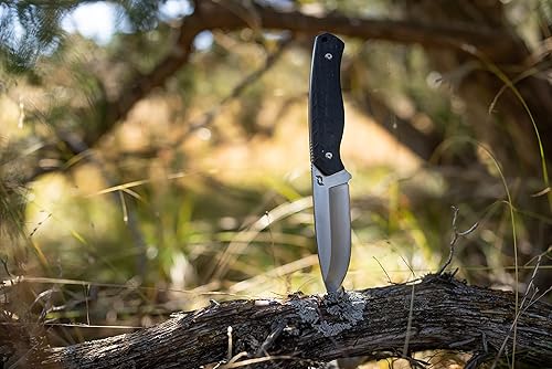 Miniatura 5 de Schrade Delta Class Exertion - Hoja fija de punto de caída de 8.5 pulgadas con hoja de acero AUS-10 de 4 pulgadas y agarre antideslizante para