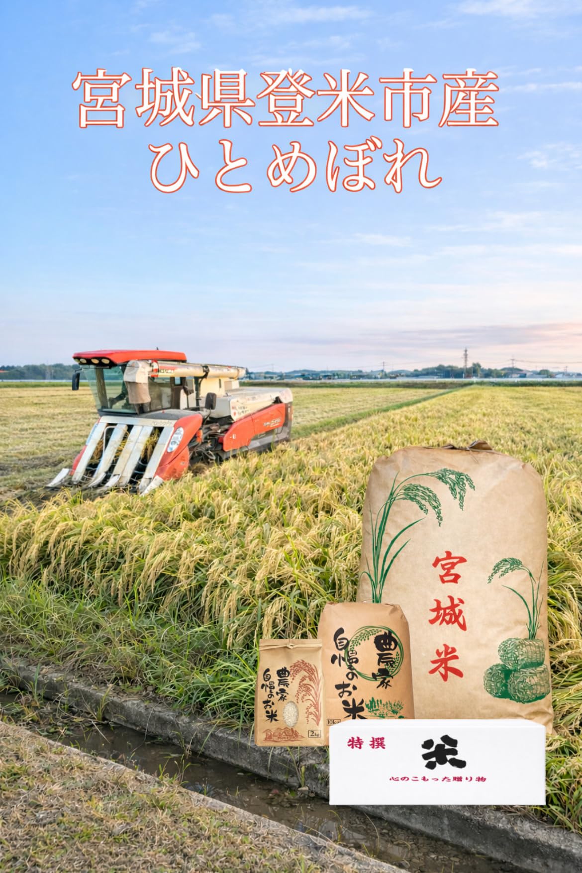宮城県登米市産ひとめぼれ玄米 一等米 (10kg) ごとう農産お試し感謝セール…