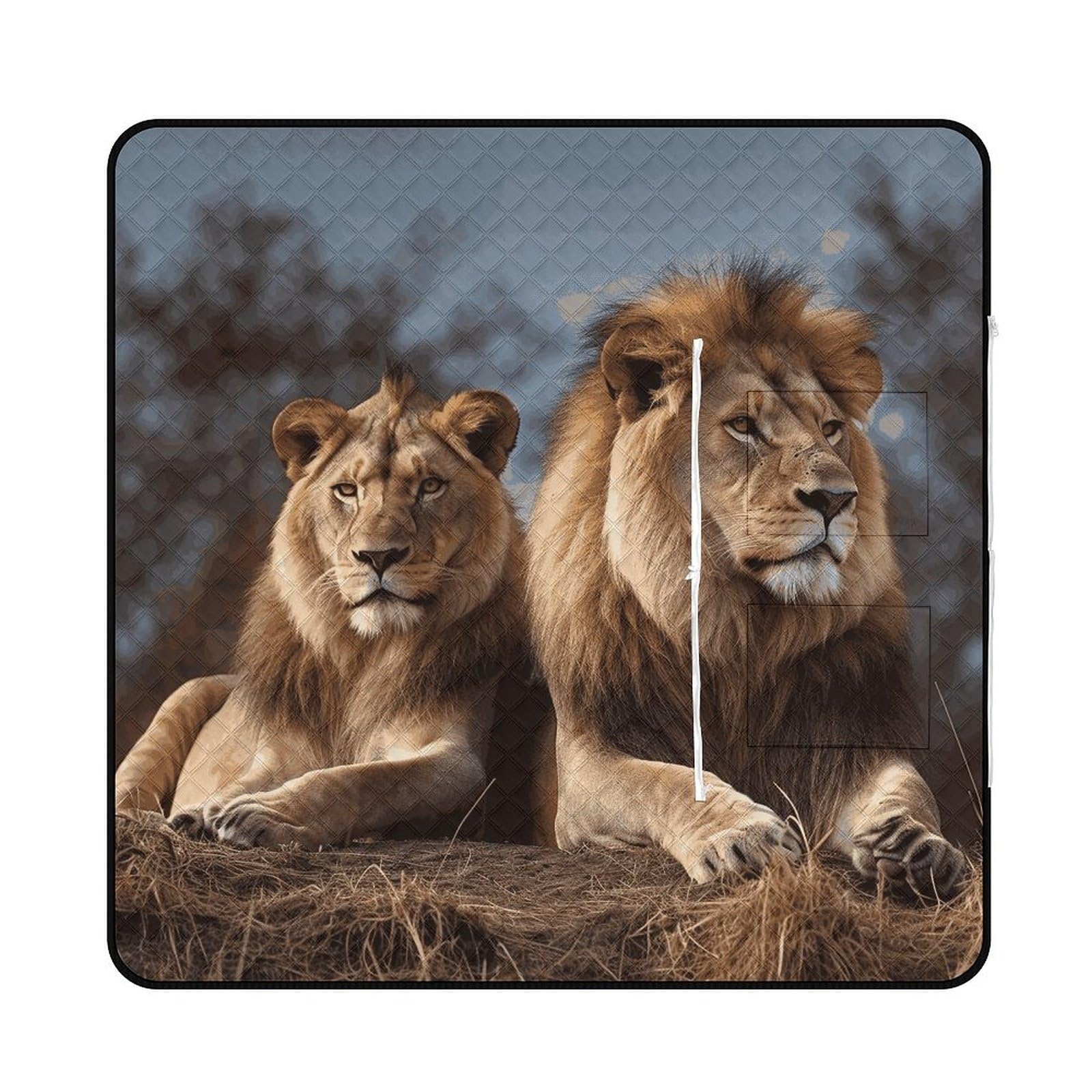 Couverture de pique-nique pliable imperméable Deux lions tapis plage voyage