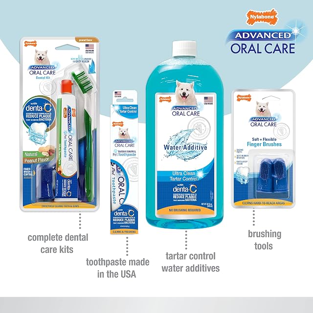 Foto 5 de 8 de Nylabone Kit dental avanzado para perros mayores con sabor a tocino