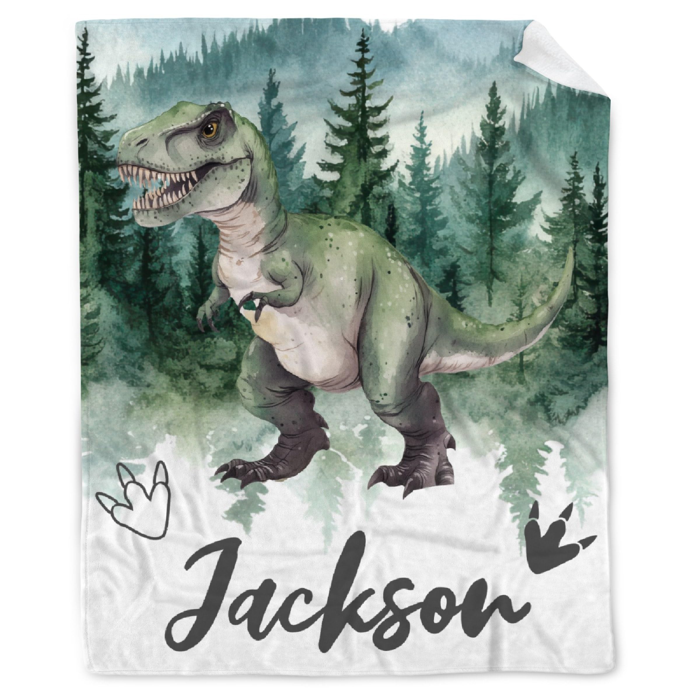 Personalized Dinosaurs Blanket Gift for Boy Girl,Custom Dinosaur Blanket