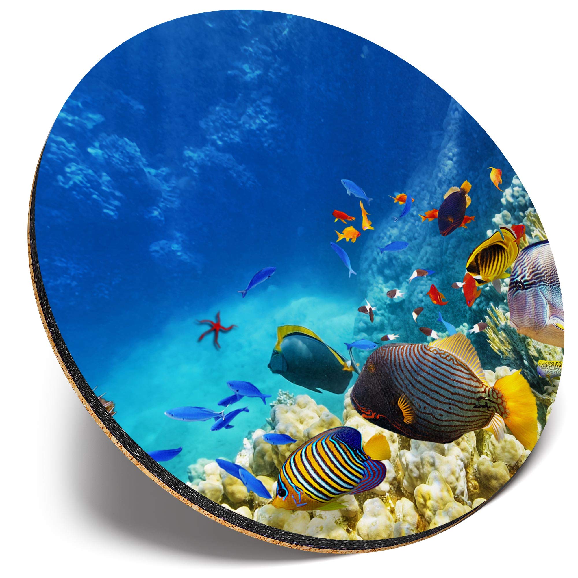 Destination Vinyl Ltd Multicolor Round Single Coaster - Coral Reef Tropical Fish Tropics |Glossy Quality Coasters | Tabletop Protection For Any Table Type #44722