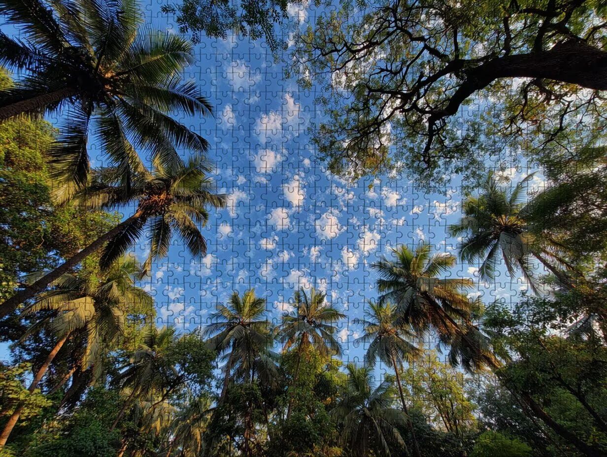 Puzzle Arte con Scatola Albero, Cielo Puzzle Legno 5000 Pezzi Adulti 156x105cm, Attività di Intrattenimento ad Alta Difficoltà, DIY Classici Gioco, Jigsaw Per Tutta La Famiglia, Estate Regalo, D-9003