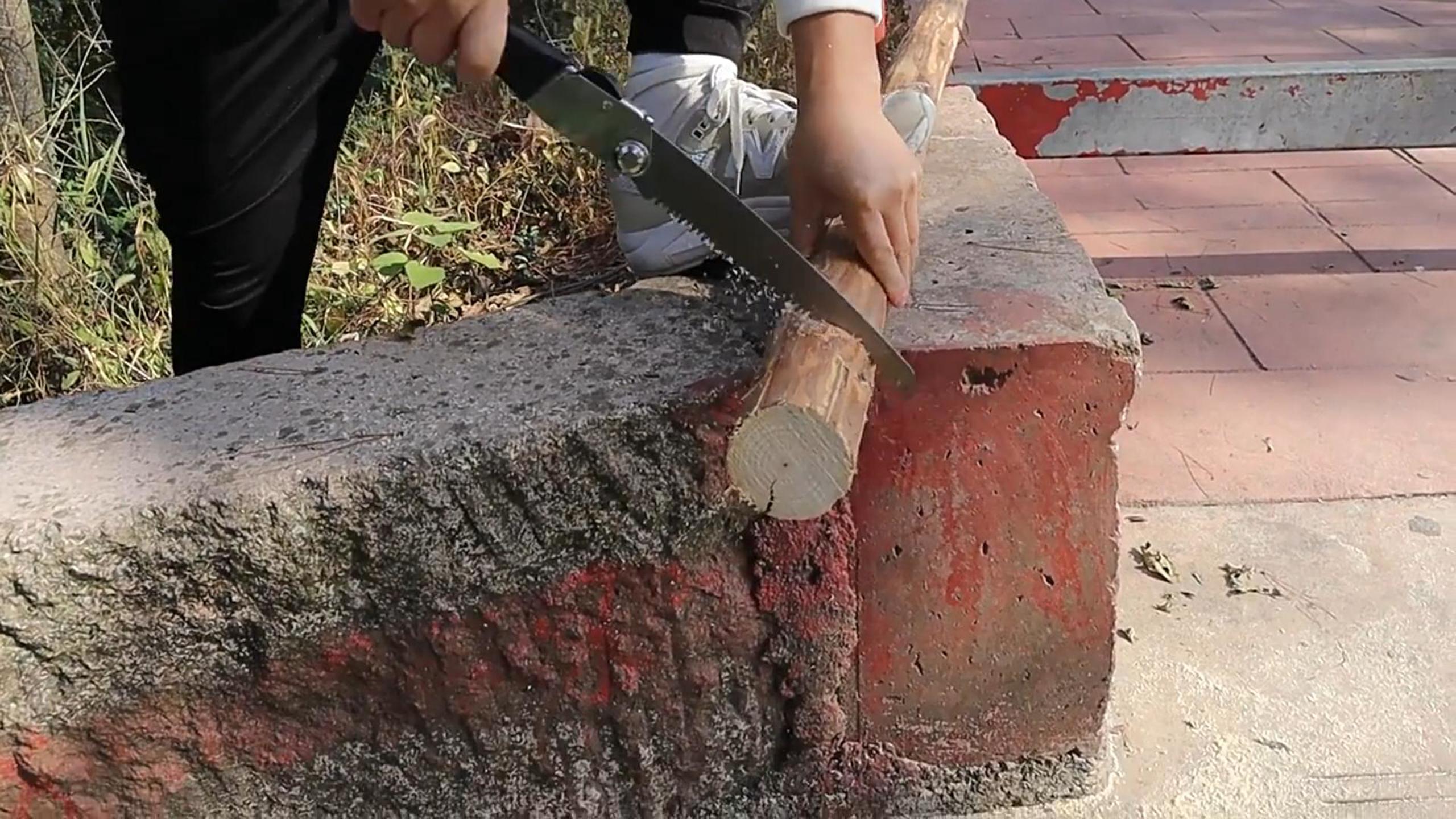 Seghetto Pieghevole FAIRY PEACH 21cm - Per Potatura, Bushcraft, Lama SK4, Manico Antiscivolo - Foto 4