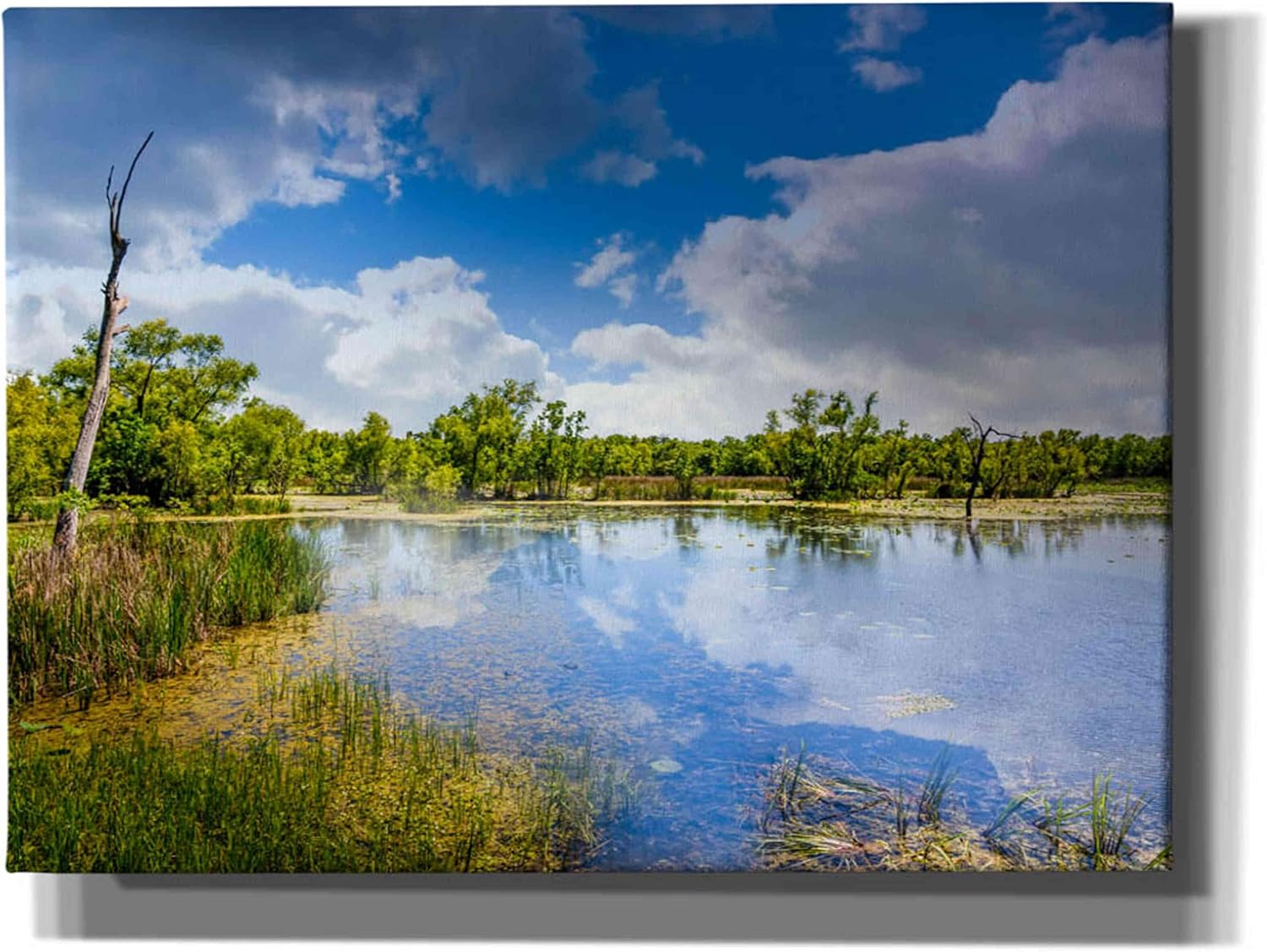 Epic Graffiti 'Brazos Bend Sunny Afternoon' by Grace Fine Arts Photography, Canvas Wall Art, 54"x40"