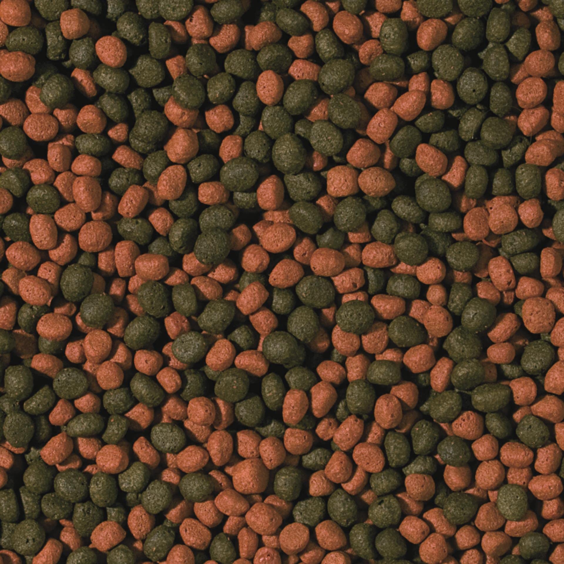 Cichlid Omnivore Medium Pellet 5L / 1,8kg - pour Les cichlidés omnivores de Grande et Moyenne Taille