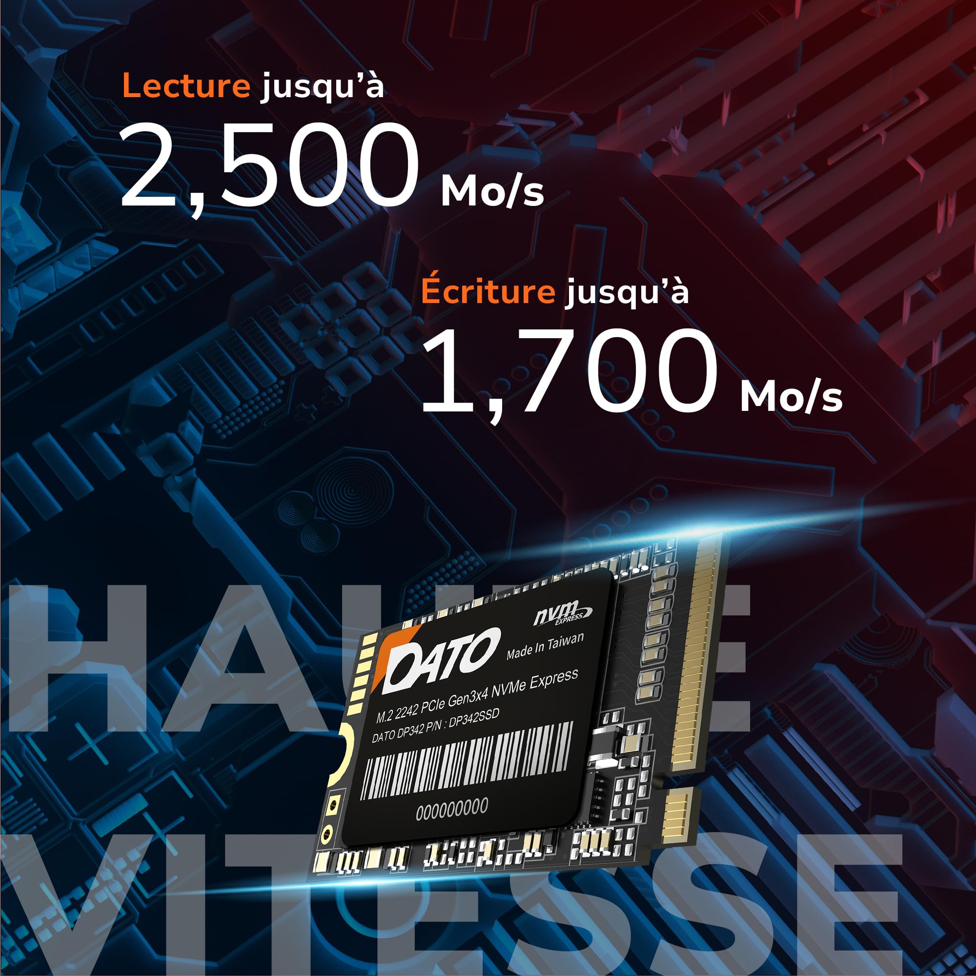 DATO SSD Interne 1 to, PCIe Gen3x4 NVMe M.2 2242 SSD, Jusqu’à 2500/1700 Mo/s - DP342 Série