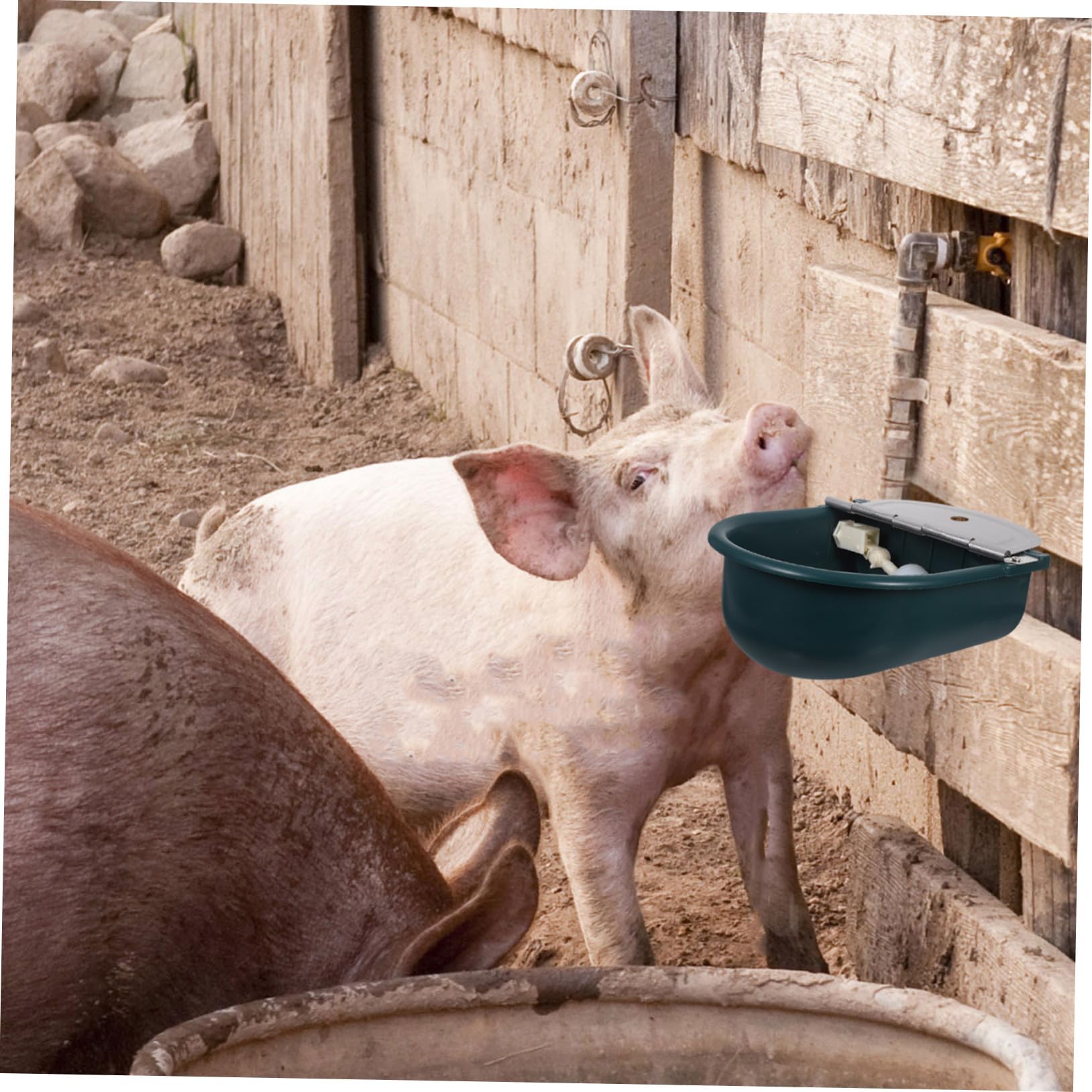 Didiseaon Bebedero Automático para Animales Resistente Plástico para Ovejas Cabras Perros y Ganado con Suministro de Agua para Exteriores y