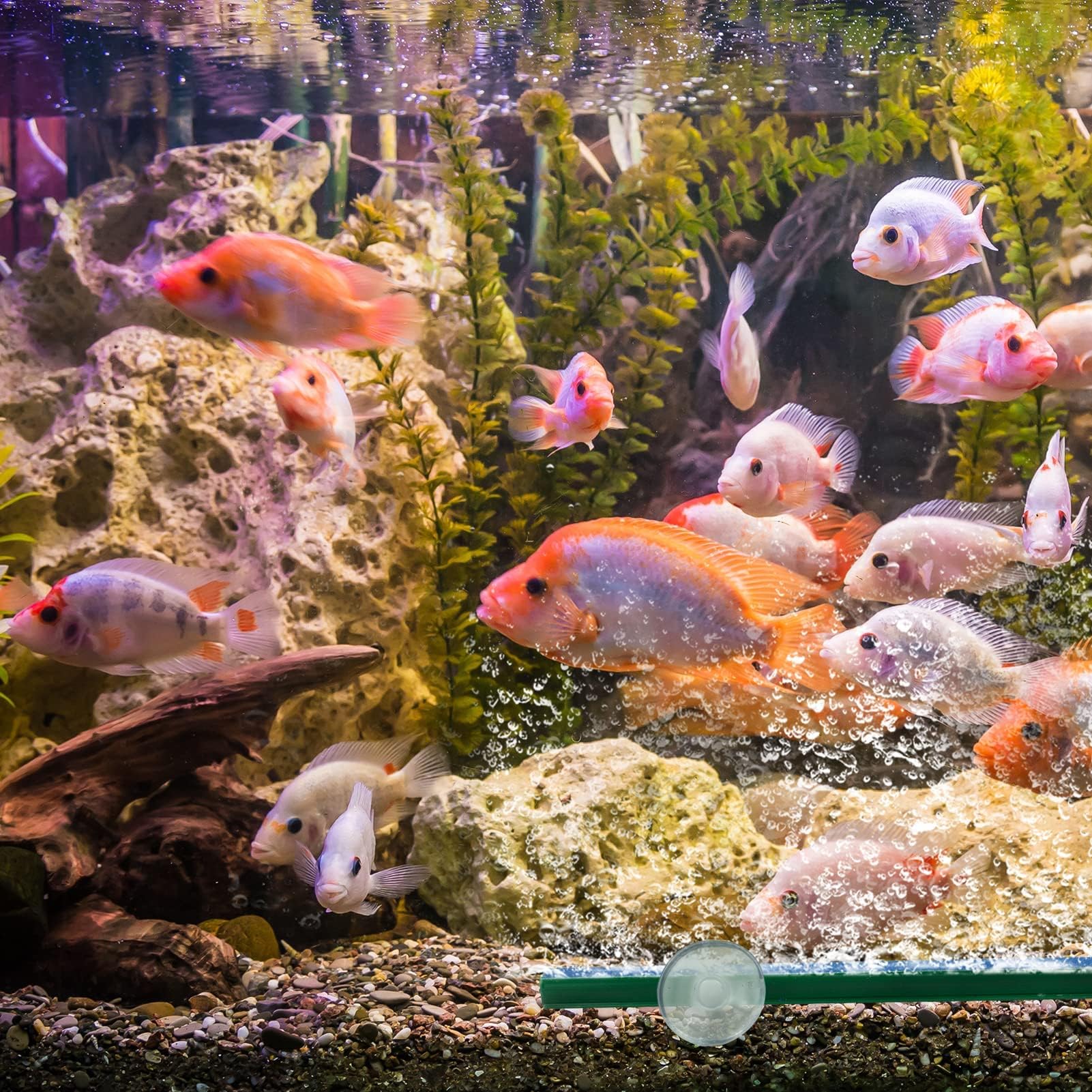 LAMXD Lot de 5 barres de pierre à air 12 cm 10,7 cm pour pompe d'aquarium Vert/bleu