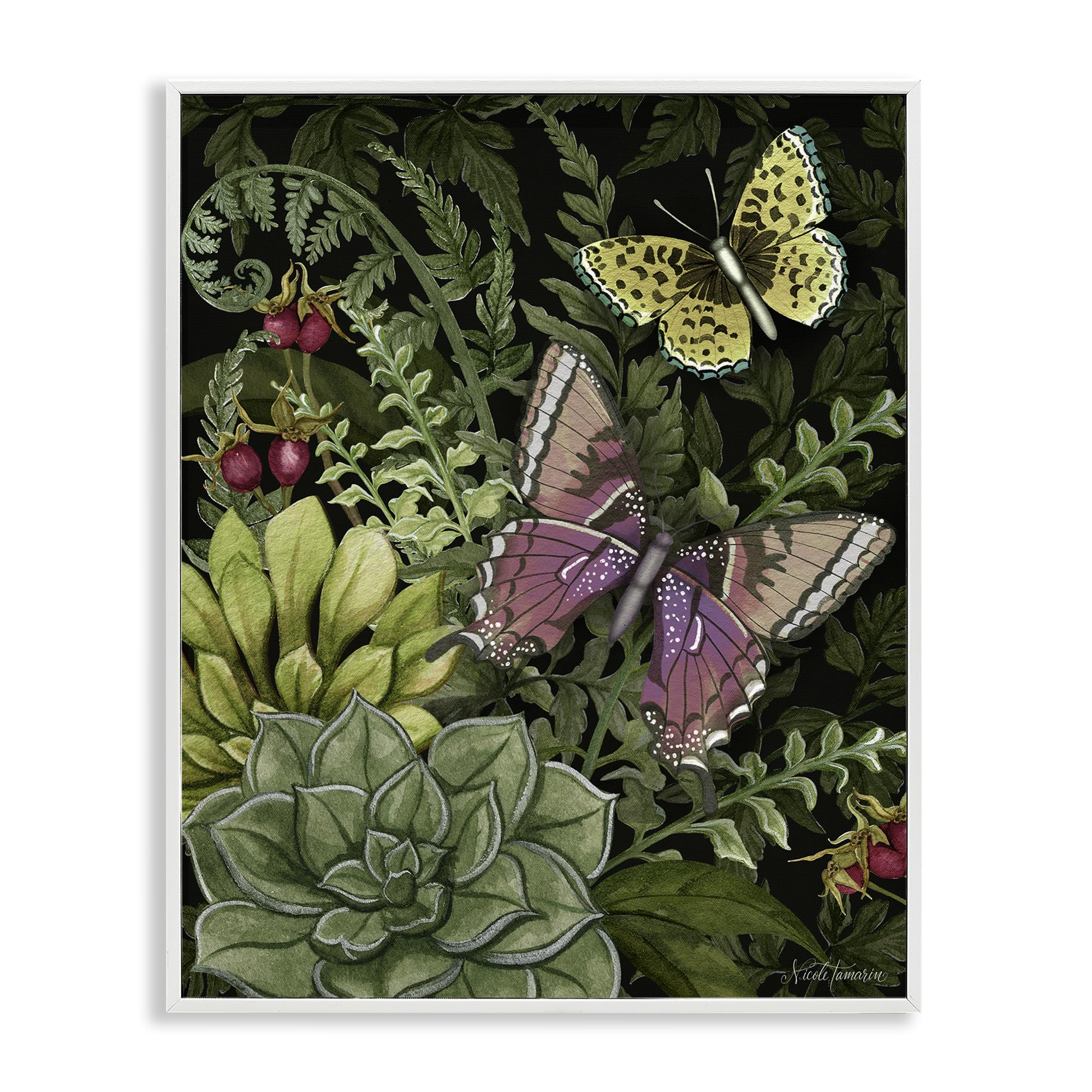 Stupell Industries Midnight Garden Butterflies_v1 'Dark Succulents Midnight Garden', Framed Giclee Art, White, 11 X 14 Inches, Easy To Hang And Sturdy, Made In Usa, By Nicole Tamarin