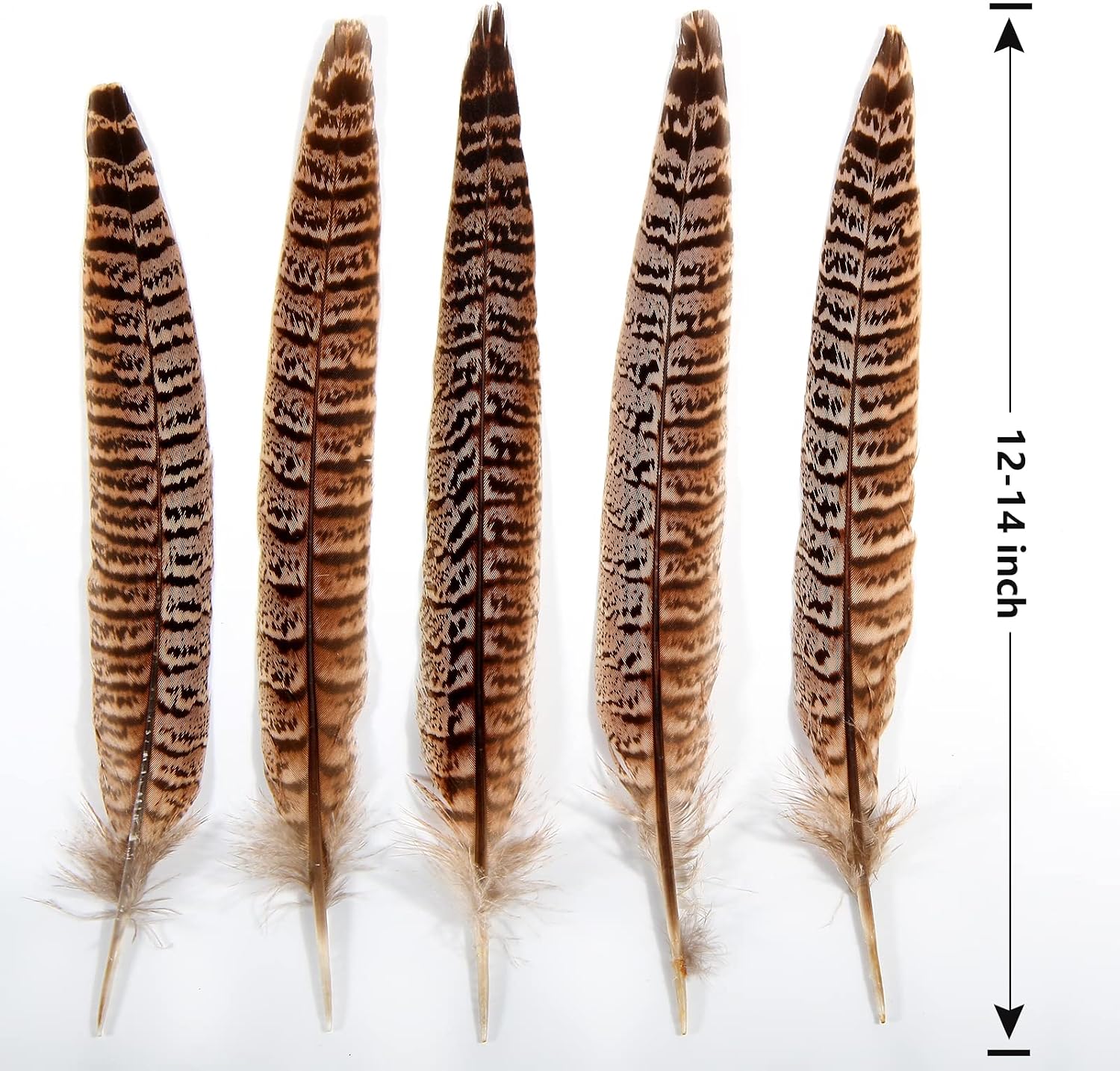 THARAHT 24pcs Female Ringneck Pheasant Tails Feathers Natural Feathers 12-14inch 30-35cm for Crafts Home Wedding Party Performance DIY Decoration Female Pheasant Feathers