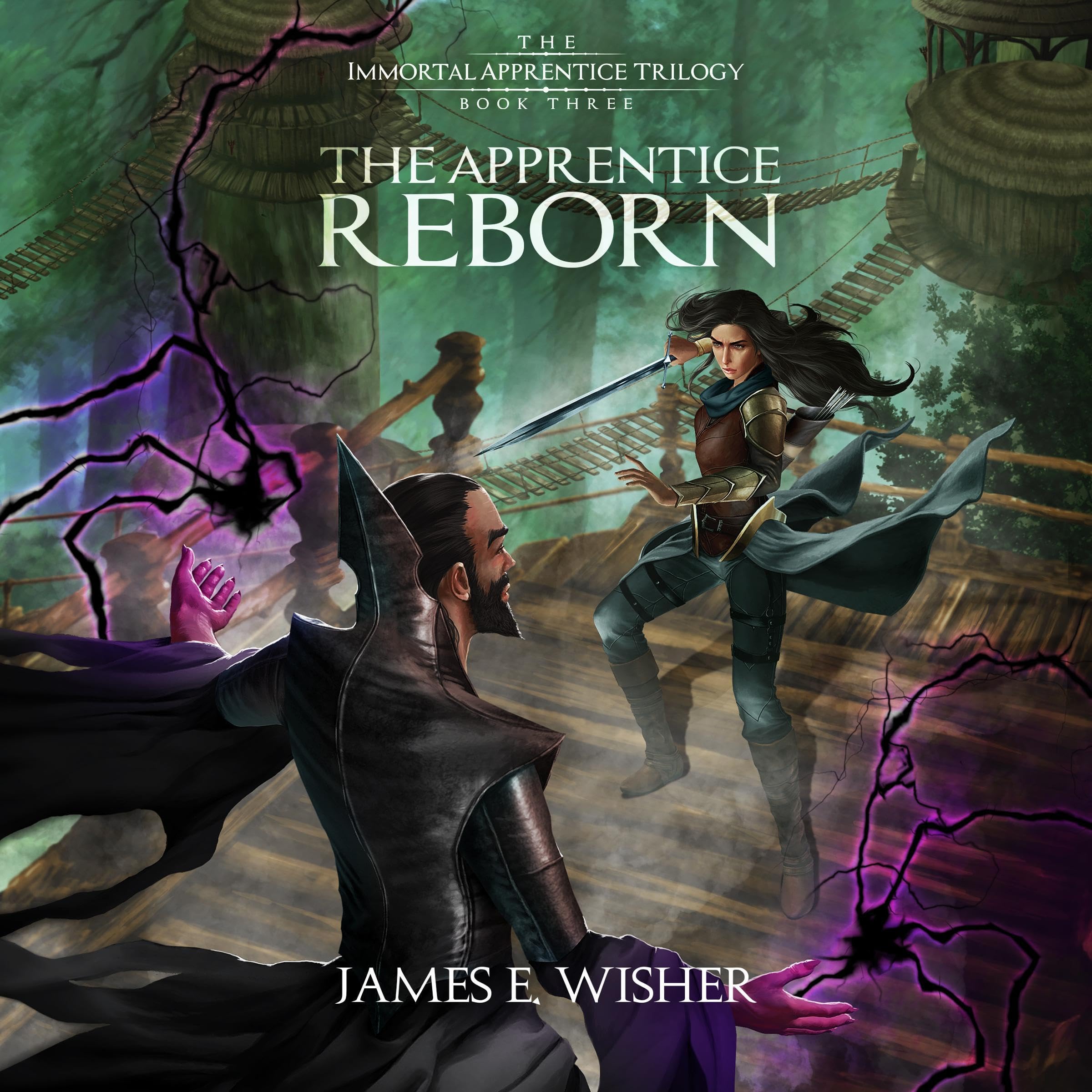 Cover art for The Apprentice Reborn