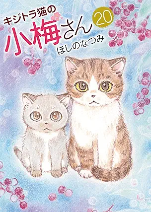 Kijitoraneko no Komesan (キジトラ猫の小梅さん ) 01-21