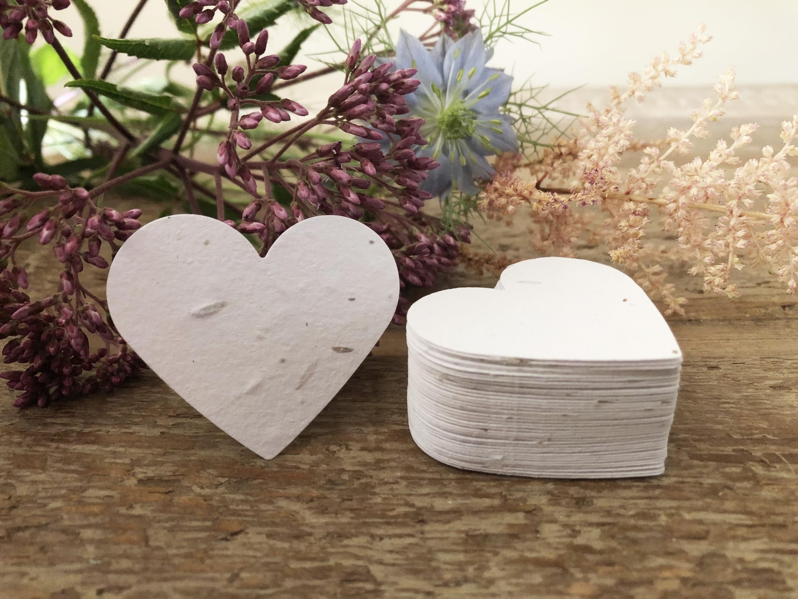 50 White Seed Paper Hearts, Plantable Seed Paper Hearts, Eco Friendly Seed Paper Hearts, Heart Shaped Seed Paper, Bulk Seed Paper Hearts, Seed Paper Shapes, Plantable Seed Paper Wedding Favours