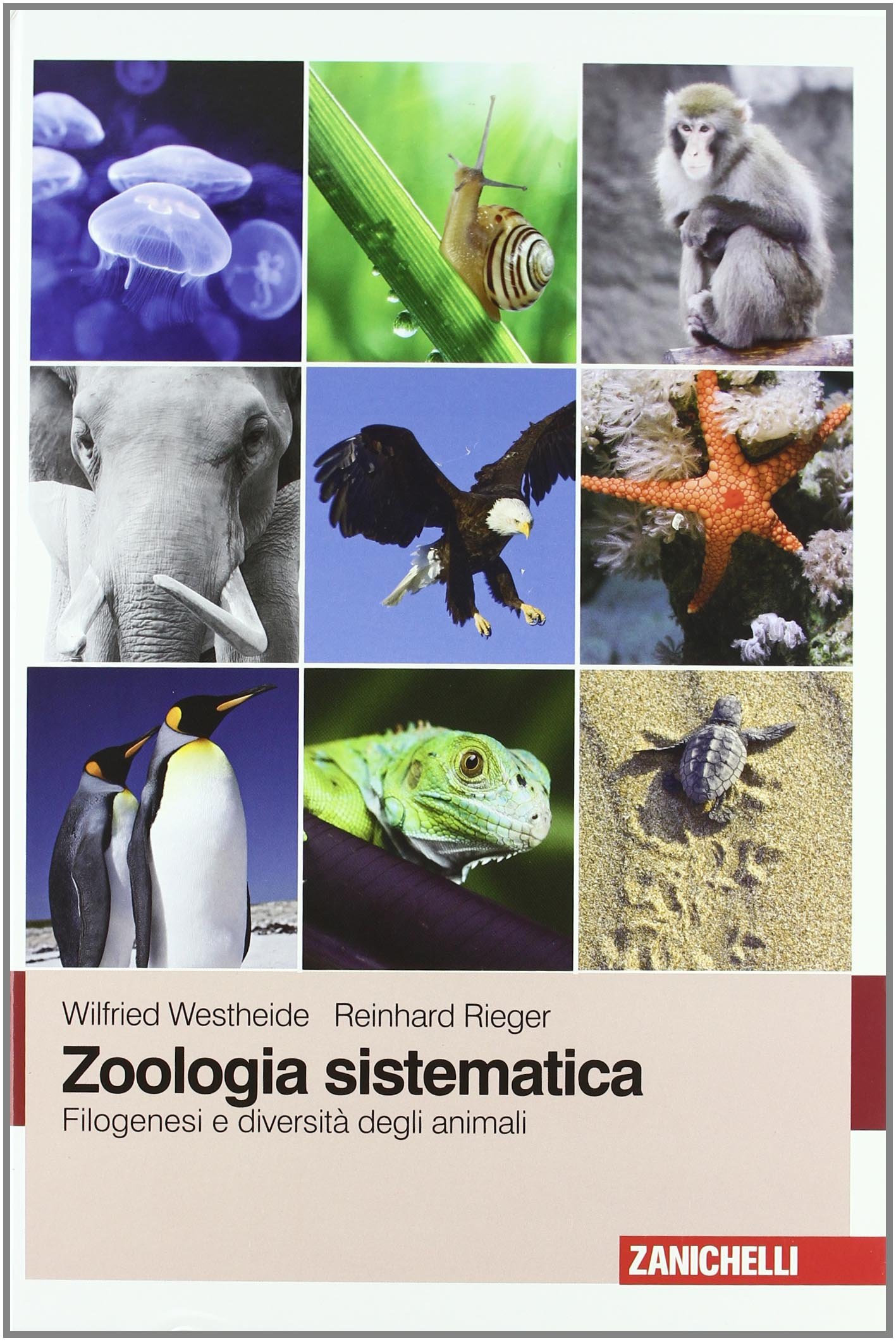 Zoologia sistematica. Filogenesi e diversità degli animali
