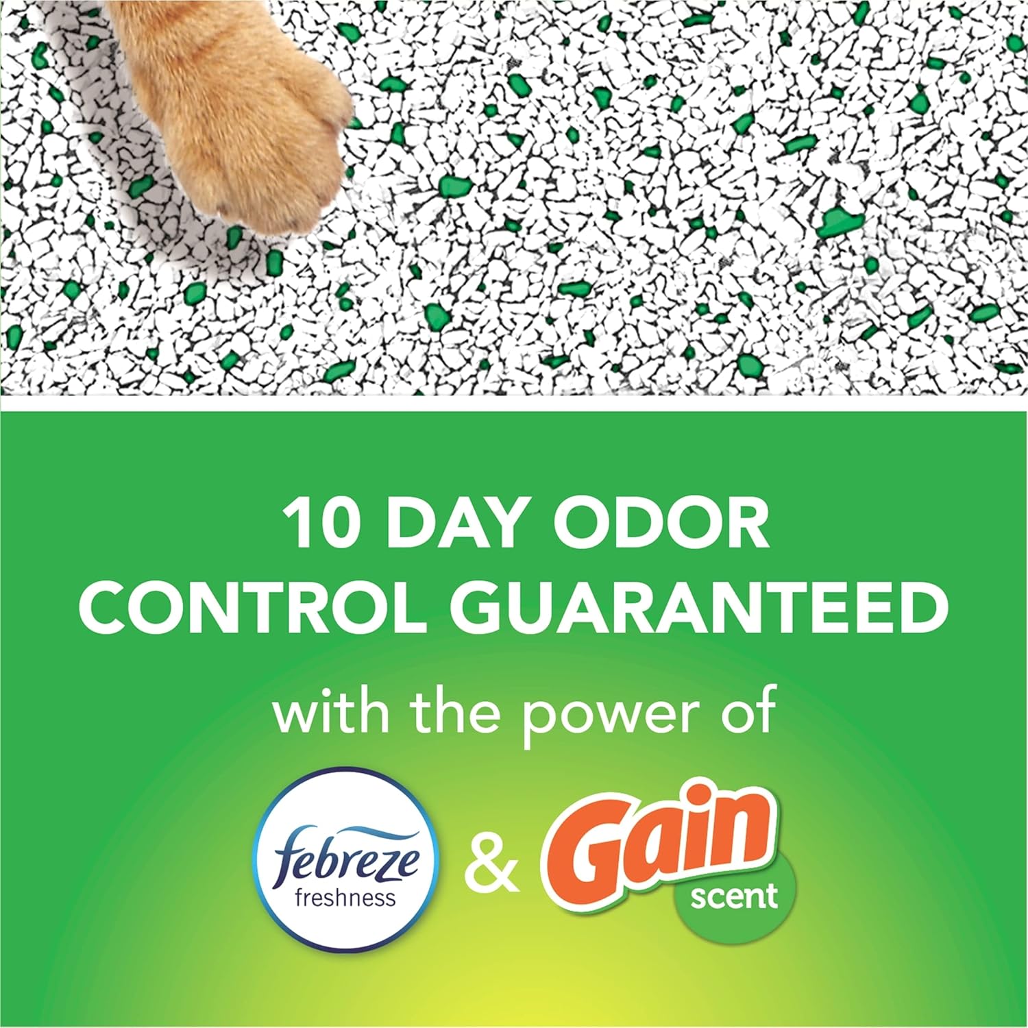 Fresh Step Cat Litter, Clumping Cat Litter With The Power of Febreze With Refreshing Scent 14 lbs (Package May Vary) Gain, 224 Oz : Pet Supplies