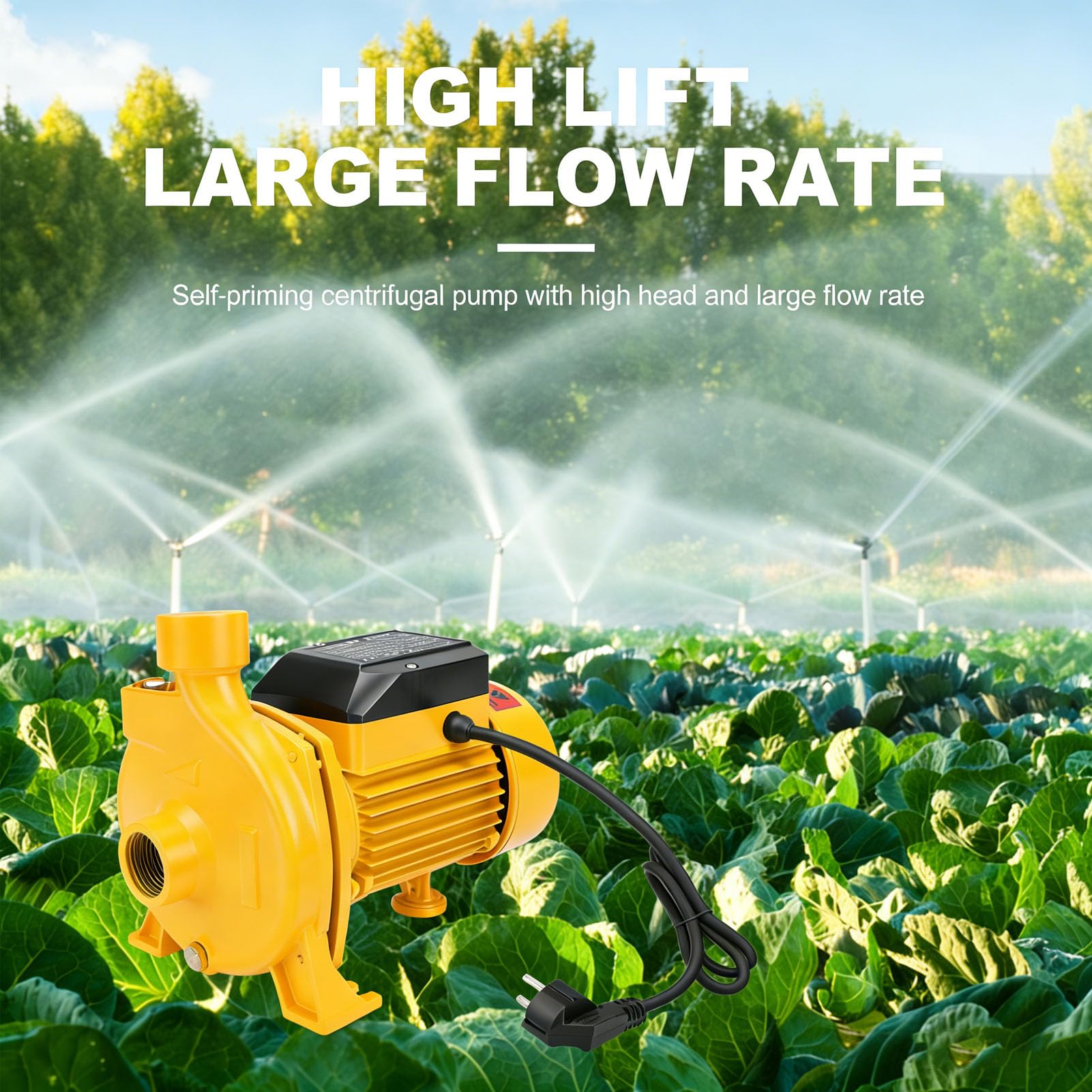 Pompa Centrifuga, Pompa Acqua Autoadescante da 750 W con Uscita da 1 Pollice e Design con Doppio Cuscinetto a Sfera, Pompe Booster Silenziose per Irrigazione del Prato (Spina europea 220 V)