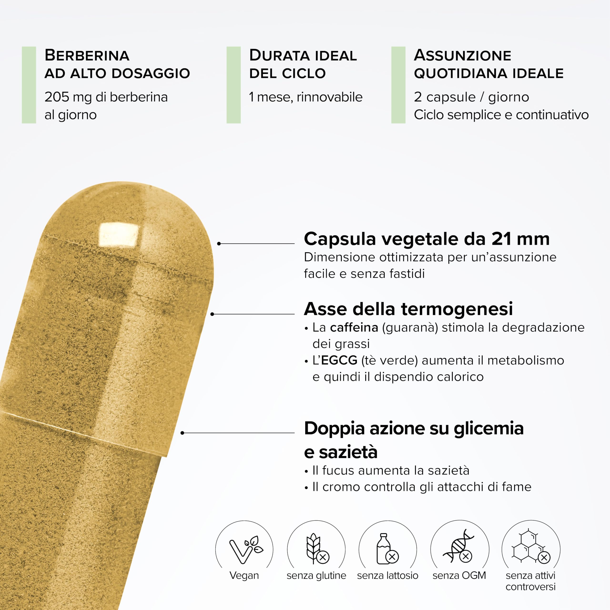 GLP-1 Boost – Con Berberina – Cromo 250 µg – Tè Verde, Fucus & Guaranà – Sazietà & Glicemia – Metabolismo – 100% Vegano – 60 capsule – Prodotto in Francia – Beyond Elements