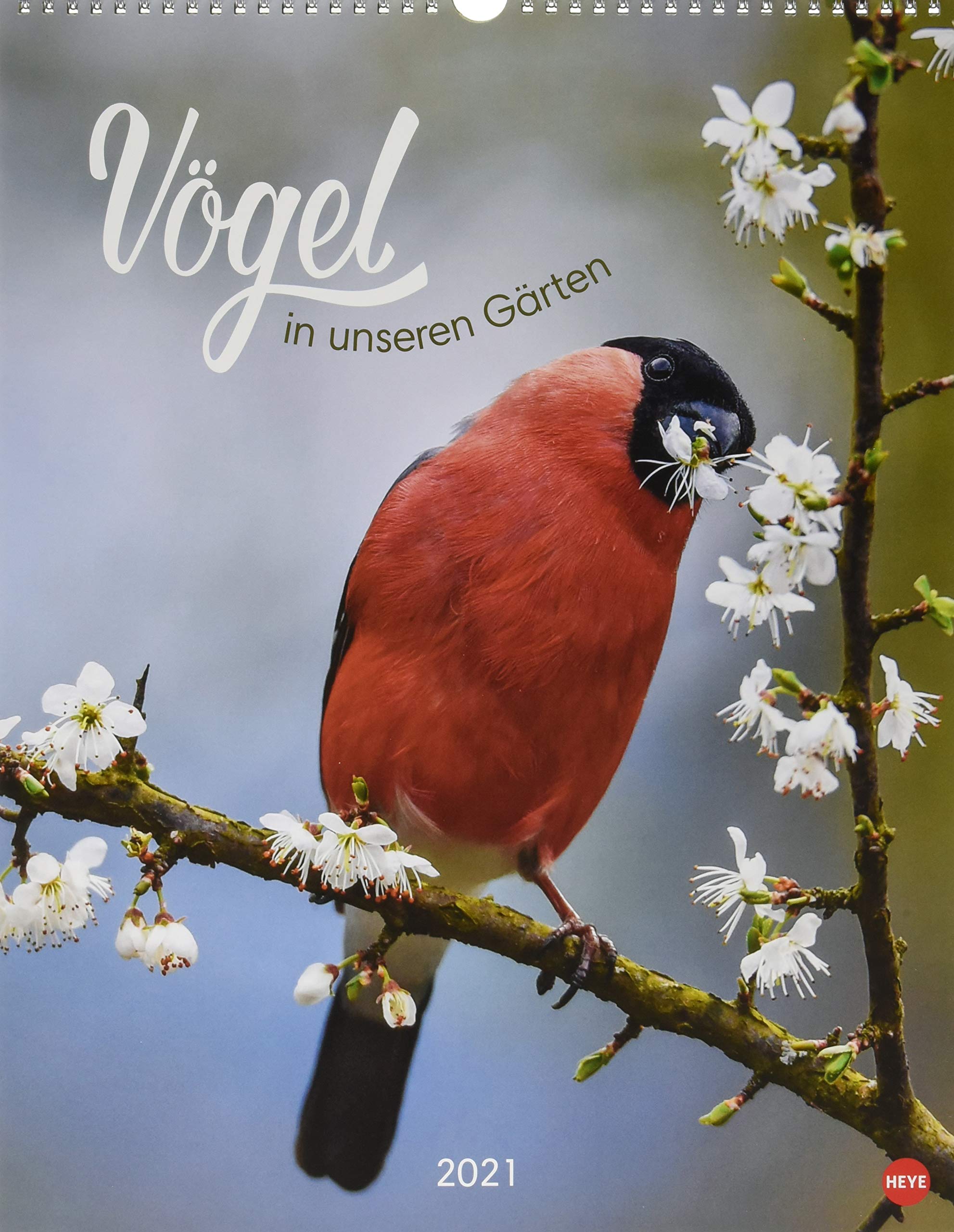 Vögel in unseren Gärten Posterkalender Kalender 2021