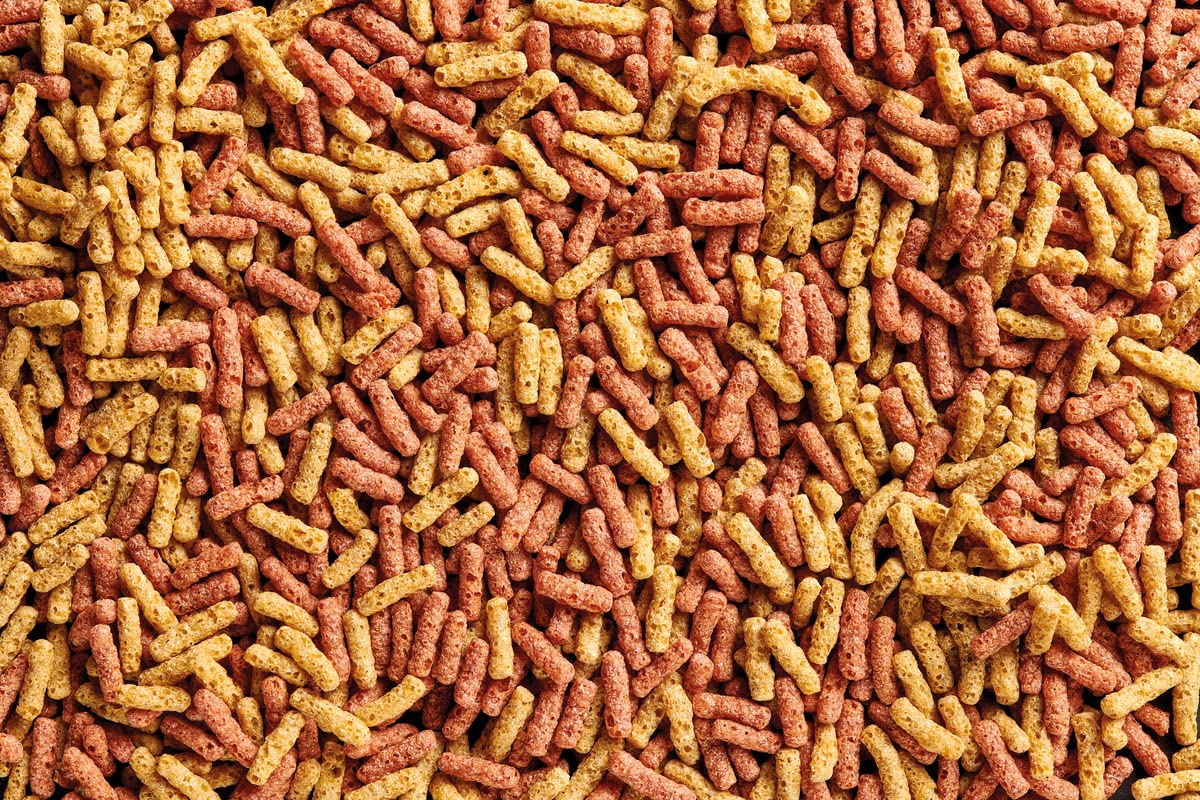 OASE Dynamix Sticks Mix 20 L, Nourriture pour Poissons, Nourriture pour Poissons de Bassin, idéal pour l'élevage Mixte de Poissons de Couleur Naturelle et Rouge, Croissance régulière