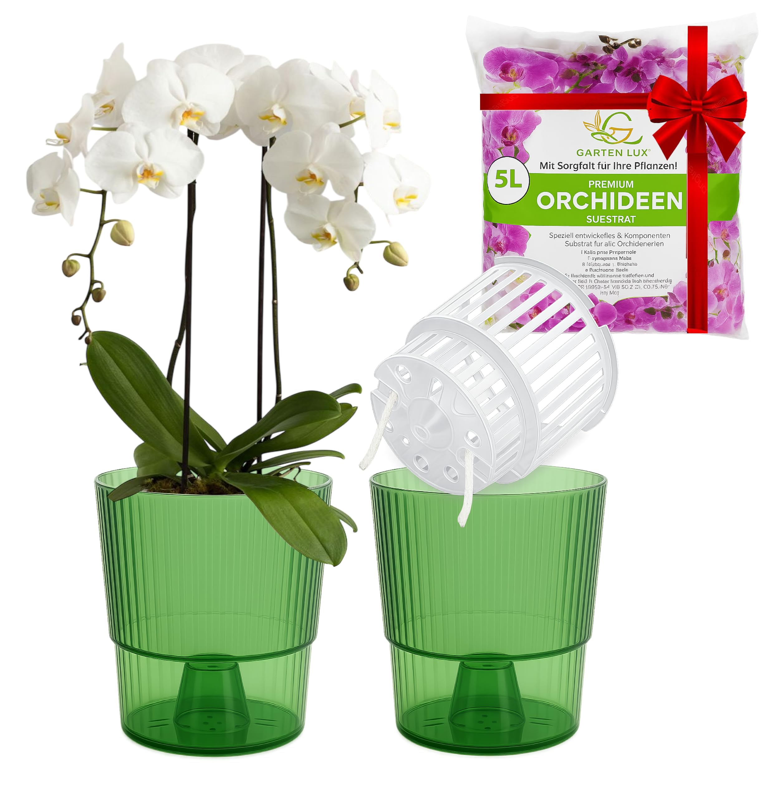 Garten lux 2er-Set Selbstbewässerungstöpfe für Orchideen-Grün, Ø16cm, Orchideentopf 2,7L (Innentopf 1,9L Drainagelöchern mit Docht)+5L Orchideensubstrat für alle Orchideenarten für den Innen