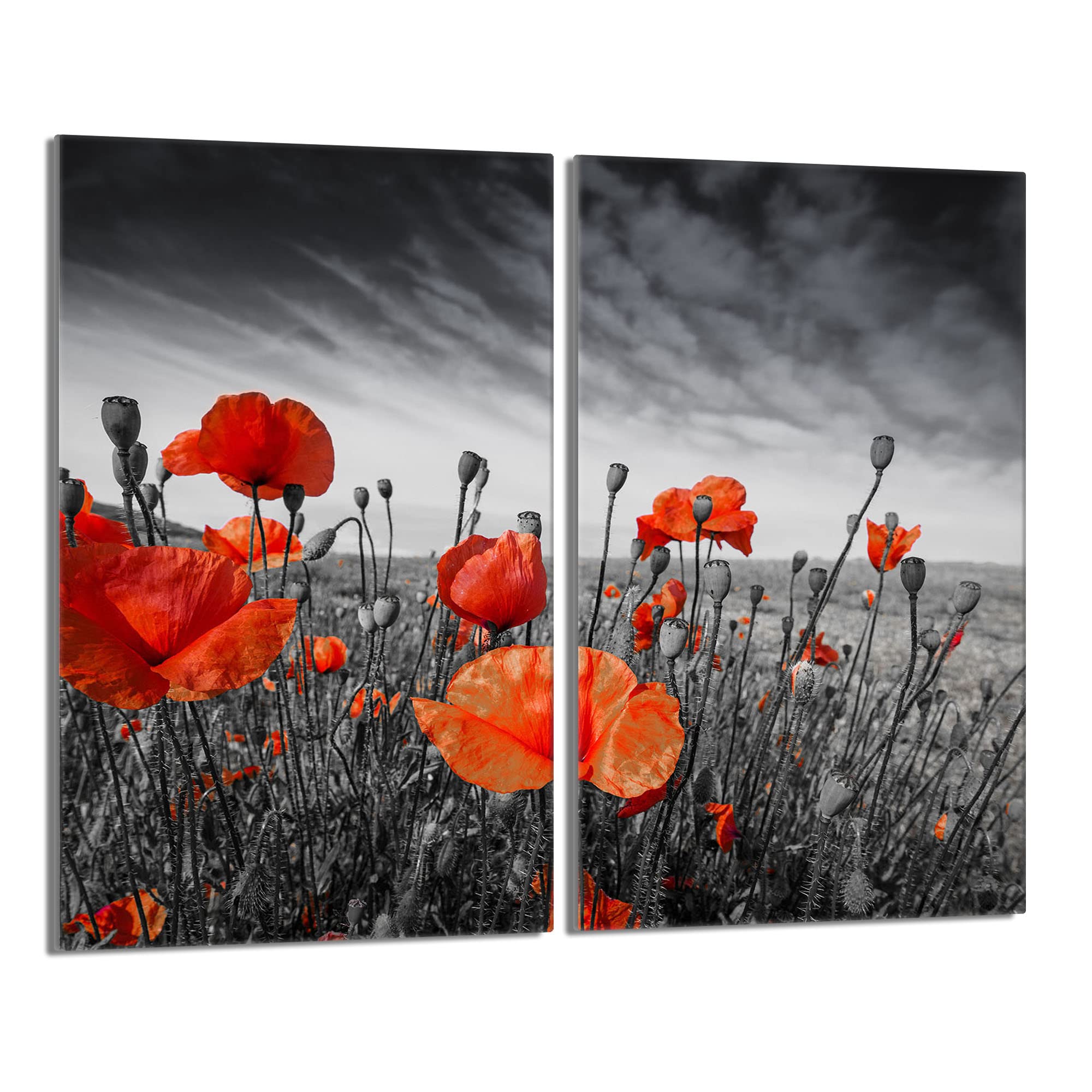 DarHaus Tabla de cortar decorativa de cristal templado y cubre vitro, Placa protectora de vitrocerámica 30 x 52 cm 2 piezas, para inducción, protección contra salpicaduras, decoración, AMAPOLAS