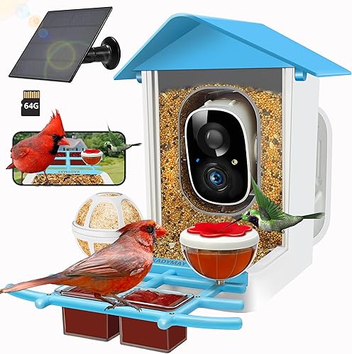 Alimentador inteligente para pájaros de 64 GB con cámara alimentada por energía solar, identificación AI de 10 K + Aves, video en vivo HD de 2K 3MP