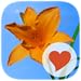 640 Photos