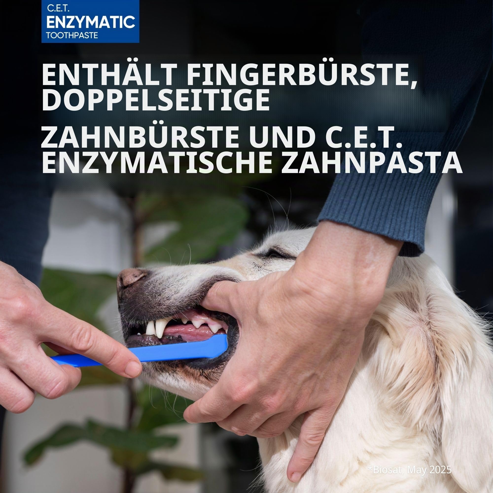 Virbac C.E.T. Mundhygiene-Set für Katzen und Hunde, 3-teiliges Set mit doppelseitiger Zahnbürste, Fingerbürste und Geflügelgeschmack, 75 ml Tube Zahnpasta, entfernt Plaque und Zahnstein