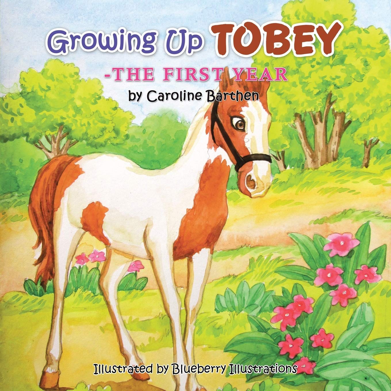 Growing up Tobey: The First Year