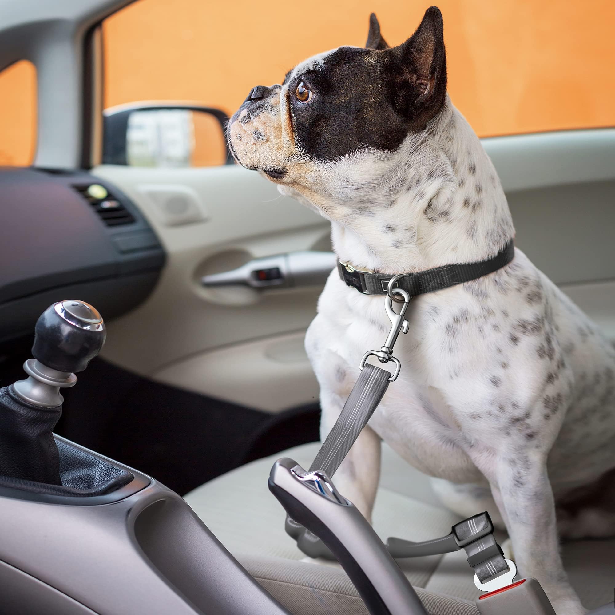 Dog Seat Belts For Cars Uk Headrest Dog Car Seat Belt Adjustable Car - View #4