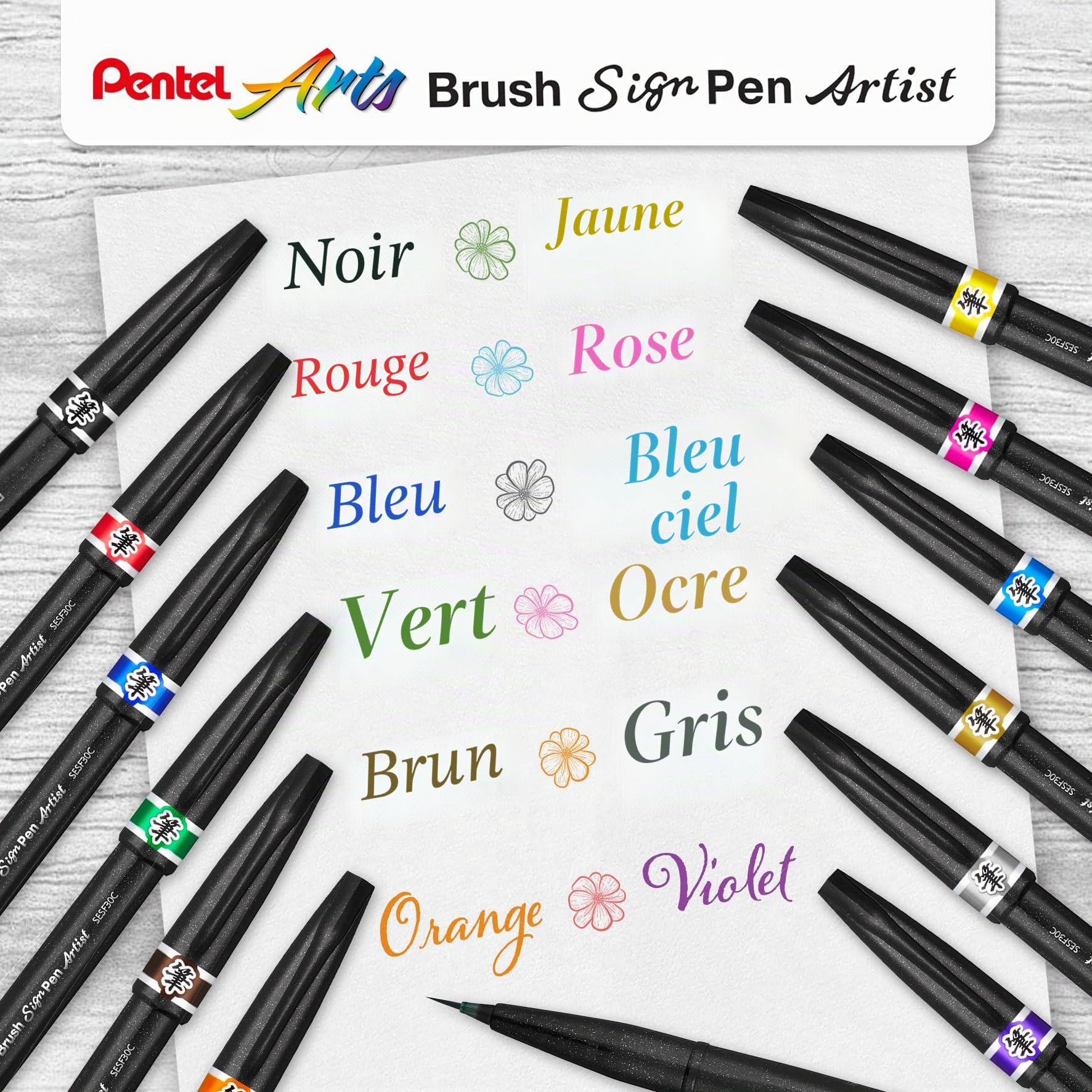 Pentel Arts Brush Sign Pen Artist SESF30C-AX, Lot de 12 Feutres pinceaux Pointe souple extra-fine, Noir