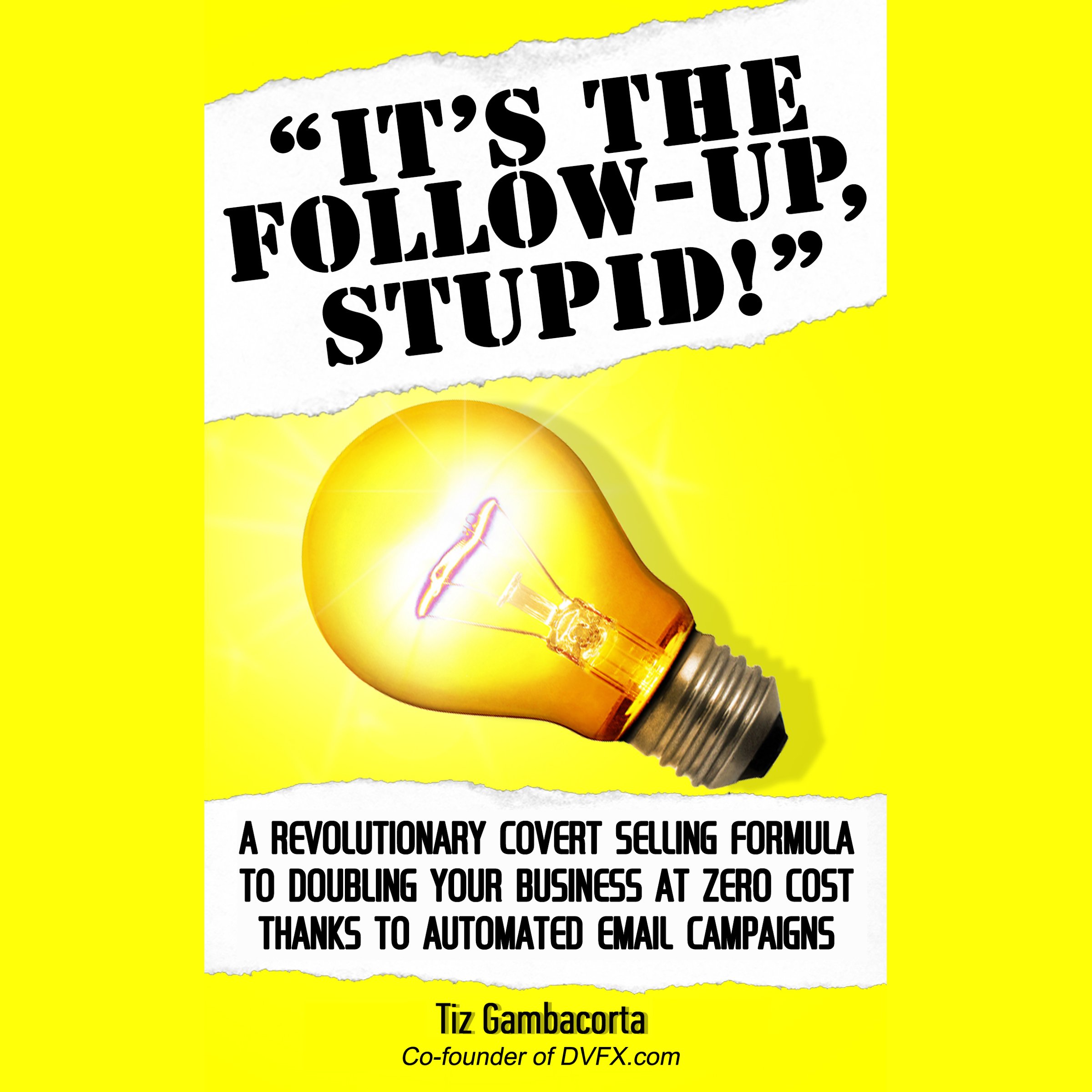 Cover art for It's the Follow Up, Stupid!