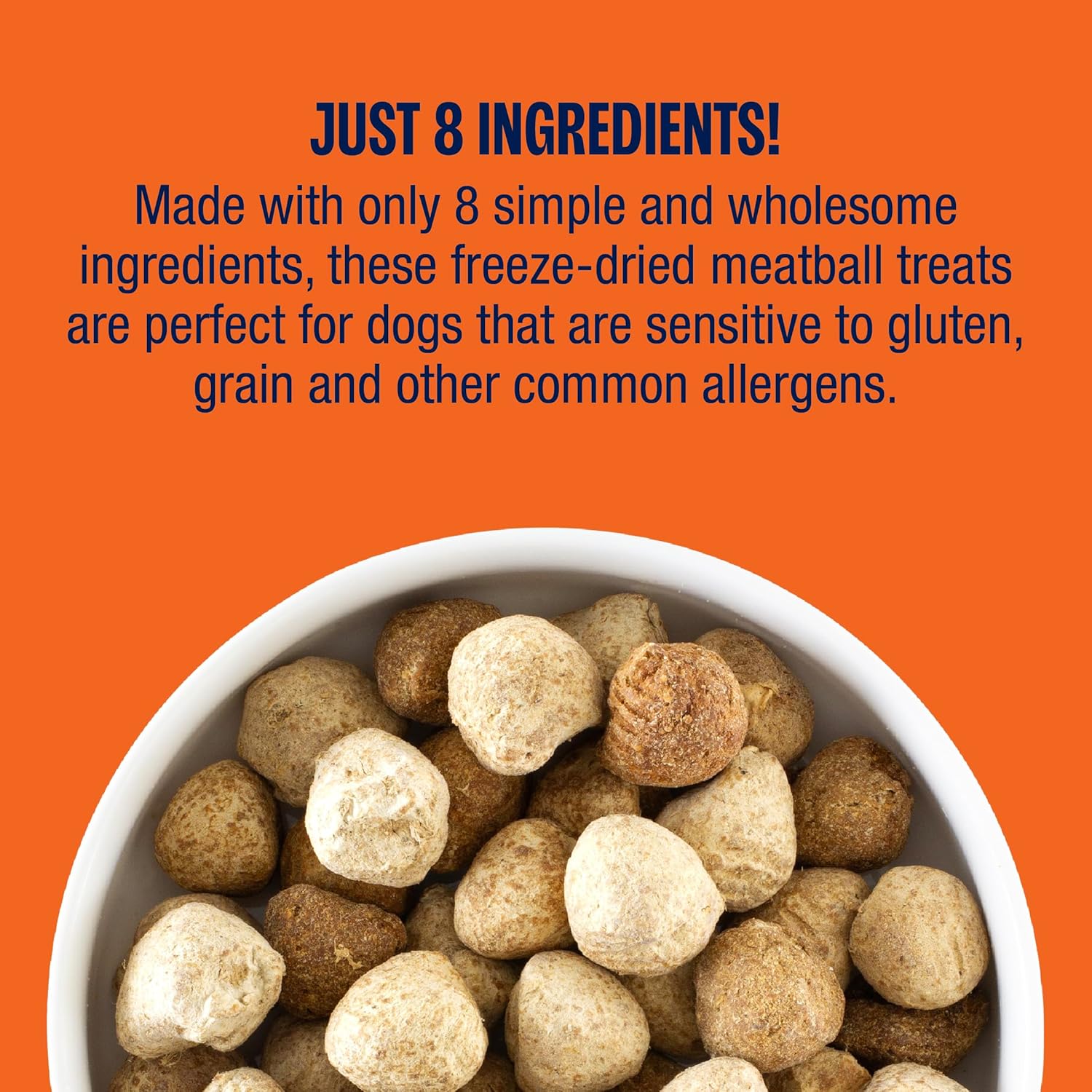 Muenster Ultimate Dog Nutrition Bundle: Ancient Grains Chicken & Pork Dry Dog Food (22 lb) & Freeze-Dried Pumpkin Spice Chicken Meatballs (4 oz) – High Protein, Gluten-Free, Made in TX