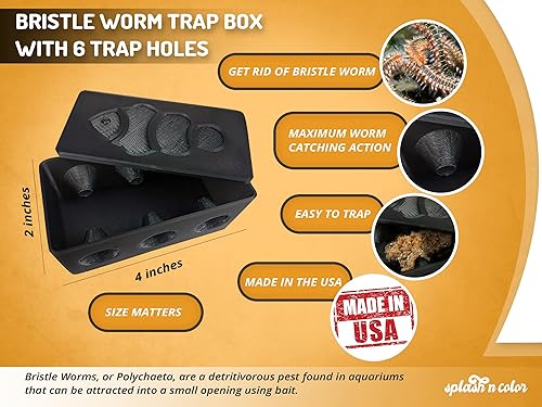 Miniatura 3 de SplashNColor - Caja de trampa para gusanos de cerdas negras, 6 agujeros de trampa para gusanos de fuego, 6 agujeros de trampa, caja de trampa para