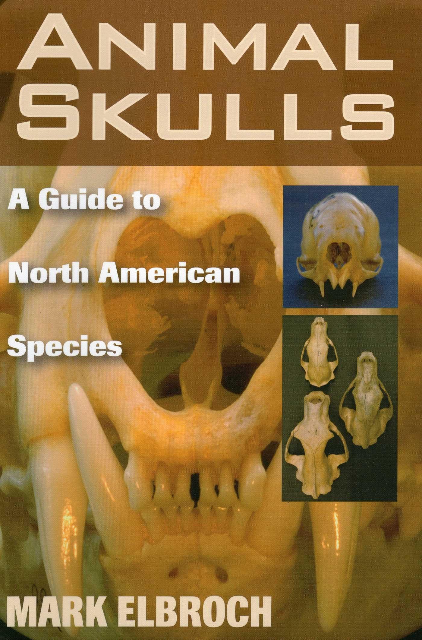 Animal Skulls Paperback – November 21, 2006