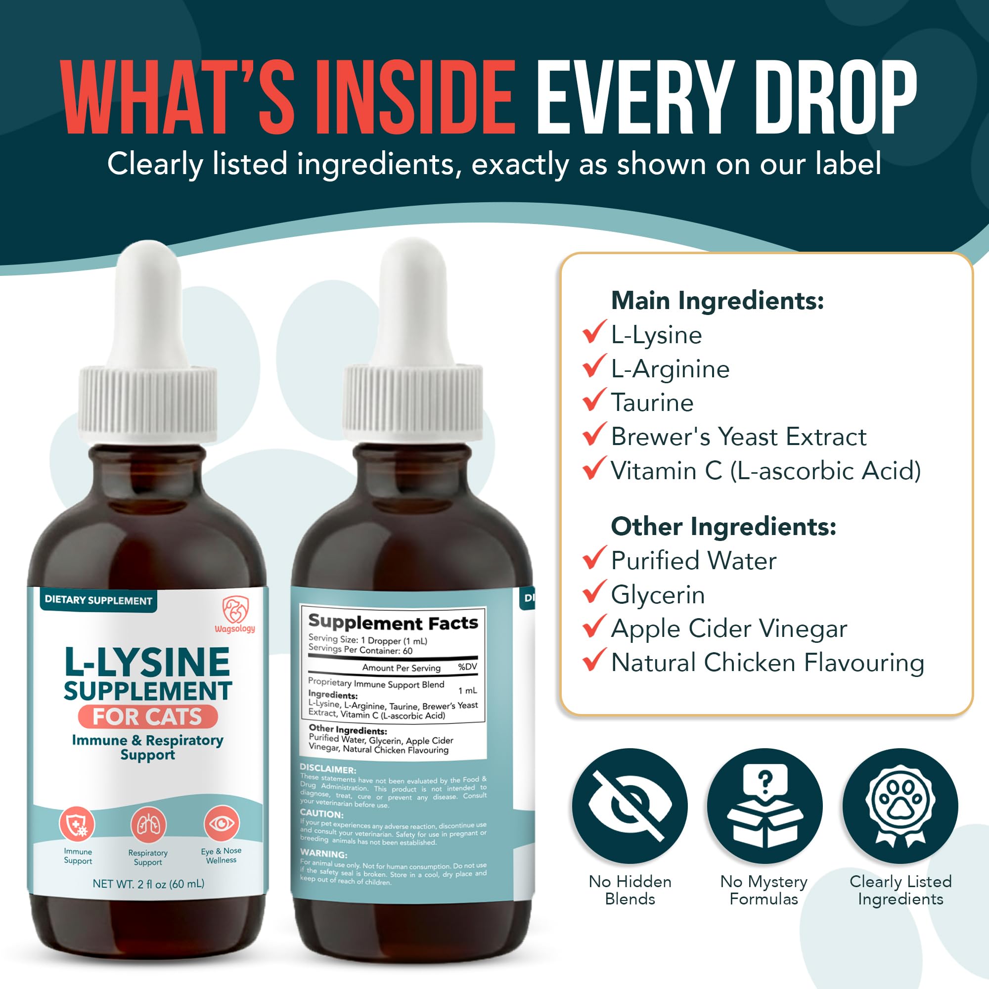 L-Lysine for Cats & Kittens, Cat Lysine Supplement & Cat Allergy Relief for Cats, Immune Support, Respiratory Health, Eye & Nose Wellness, L Lysine Cats Drops, Chicken Flavor (60 ml) — Amazon image 6