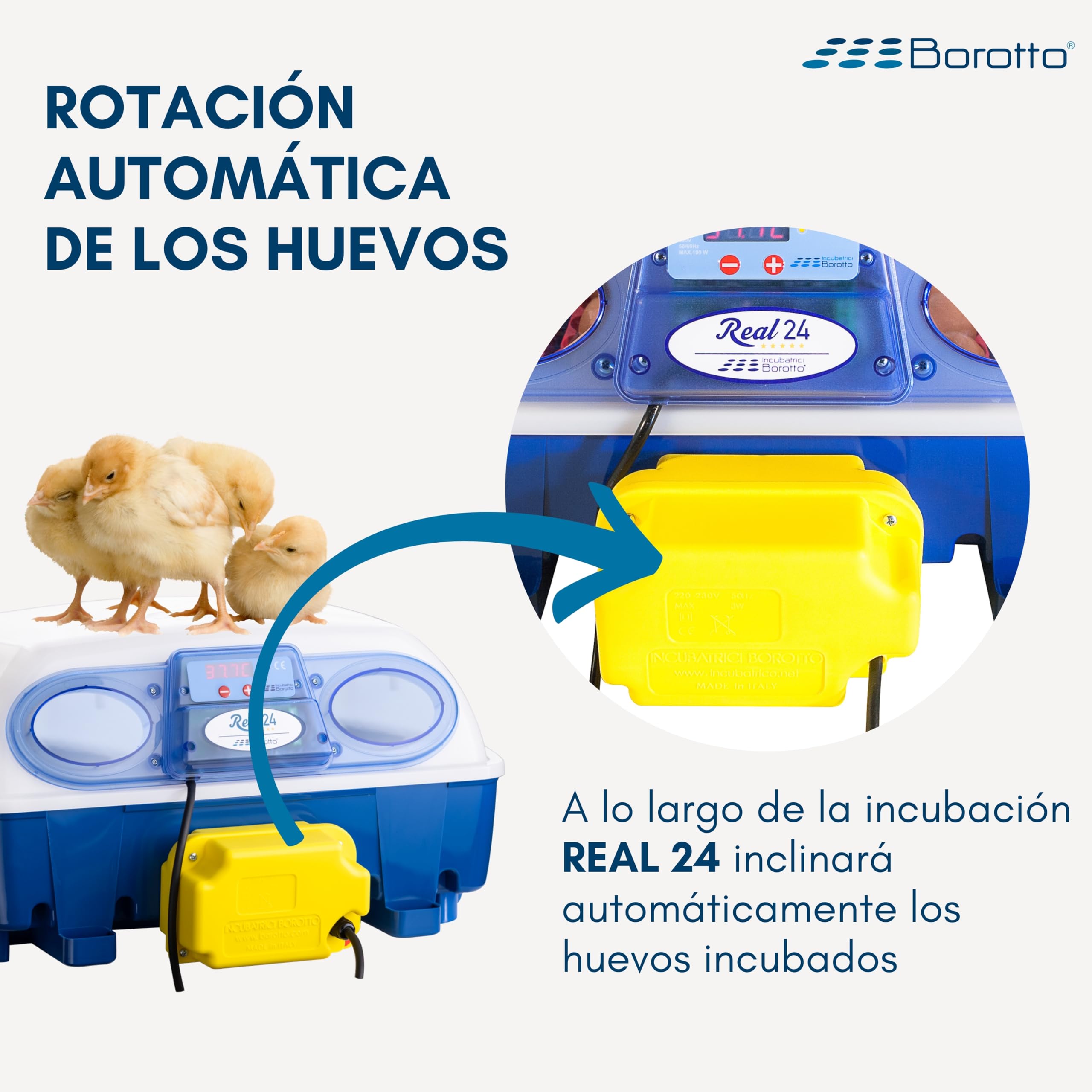Borotto Real 24 | Incubadora de Huevos Automática Profesional Patentada para 24 Huevos o 96 Pequeños con Volteador de Huevos Automático y Control de Temperatura | Made in Italy