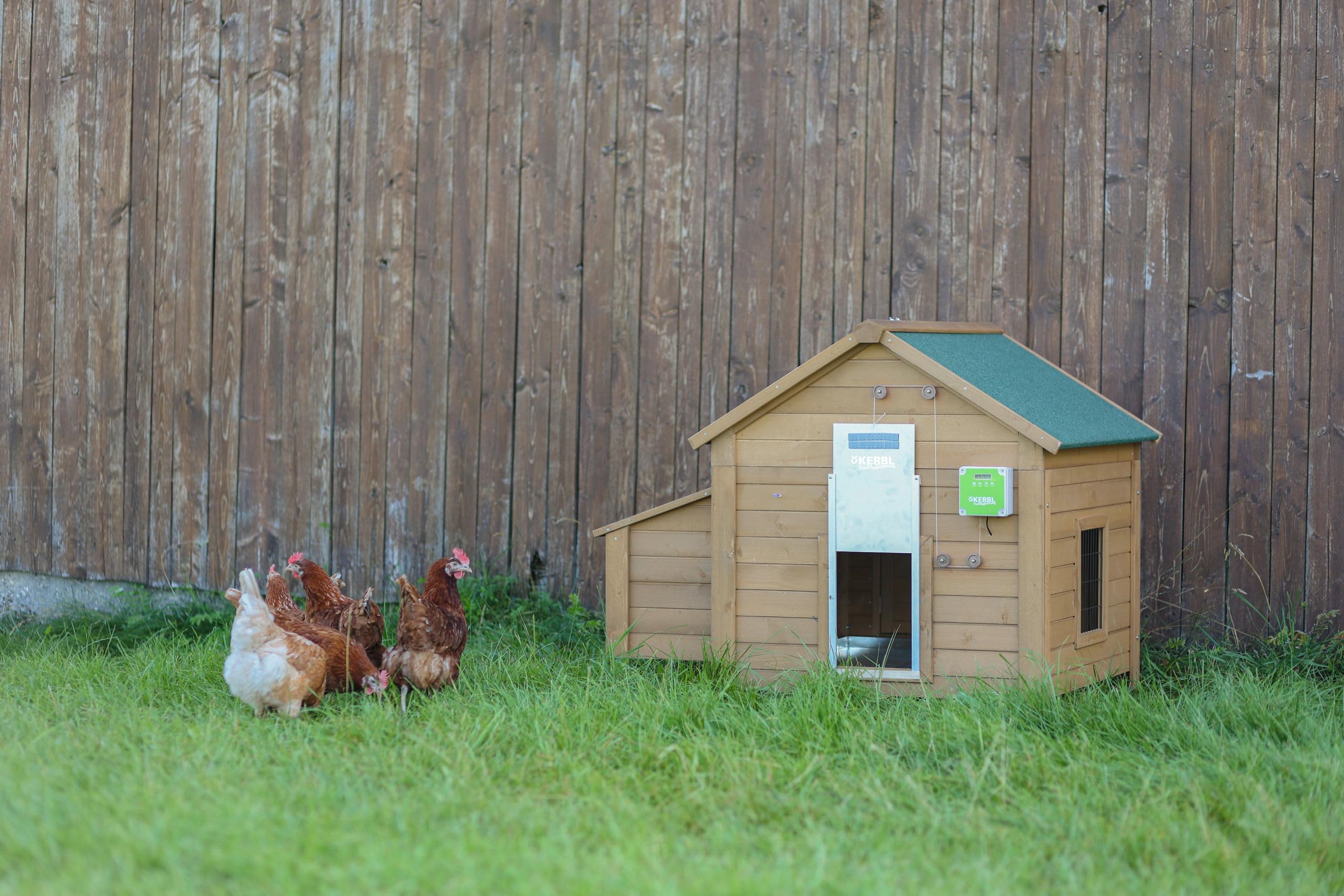 Kerbl Hobbyfarming Puerta Auto. gallinas c. Puer. corredera 430 נ400 mm, envase