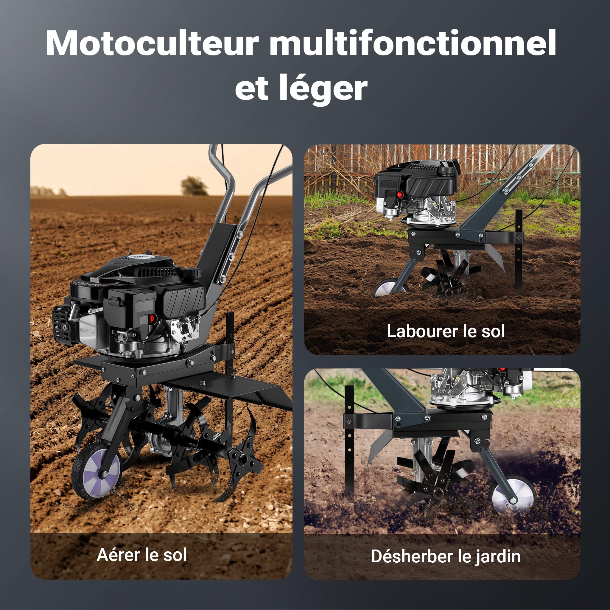 Wiltec Motobineuse 60 cm 2,5 KW 6 Fraises Lames Réservoir 0,8L Profondeur 25 cm Motoculteur Essence Moteur OHV Aérateur Scarificateur Travail Sol Ergonomique Outil Jardinage
