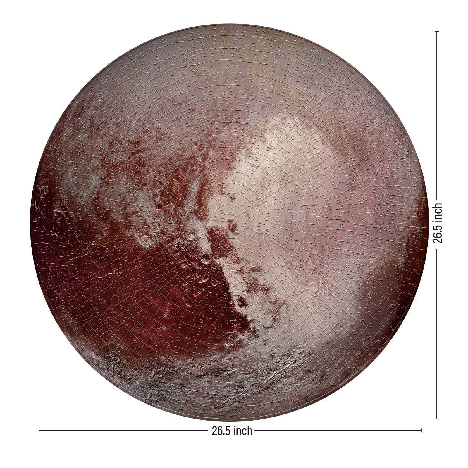 Amazon.com: Antelope - 1000 Piece Jigsaw Puzzle for Adults, Pluto