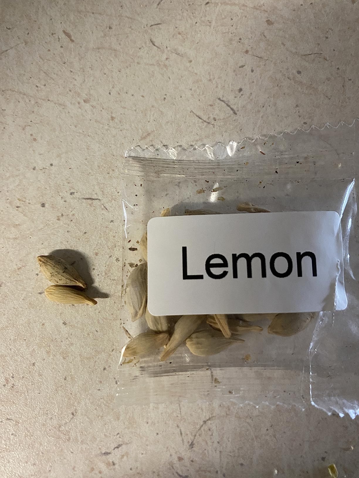 2/mo Finance 150+ Dwarf Bonsai Fruit Tree Seeds for Planting, 50+ Lemon Tree Seeds /50