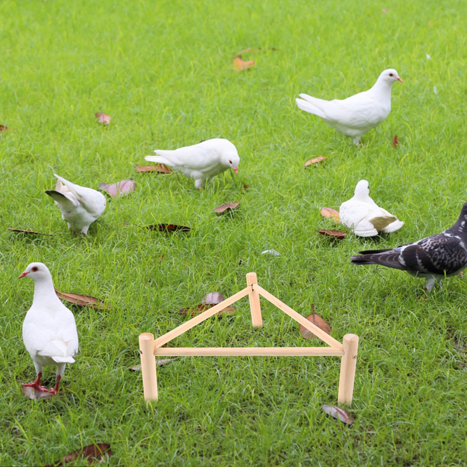 Hemobllo Posatoio in Legno per Galline e Uccelli Beige, Supporto Rialzato Multifunzione Pollaio, come Giocattolo e Riposo per Animali Domestici