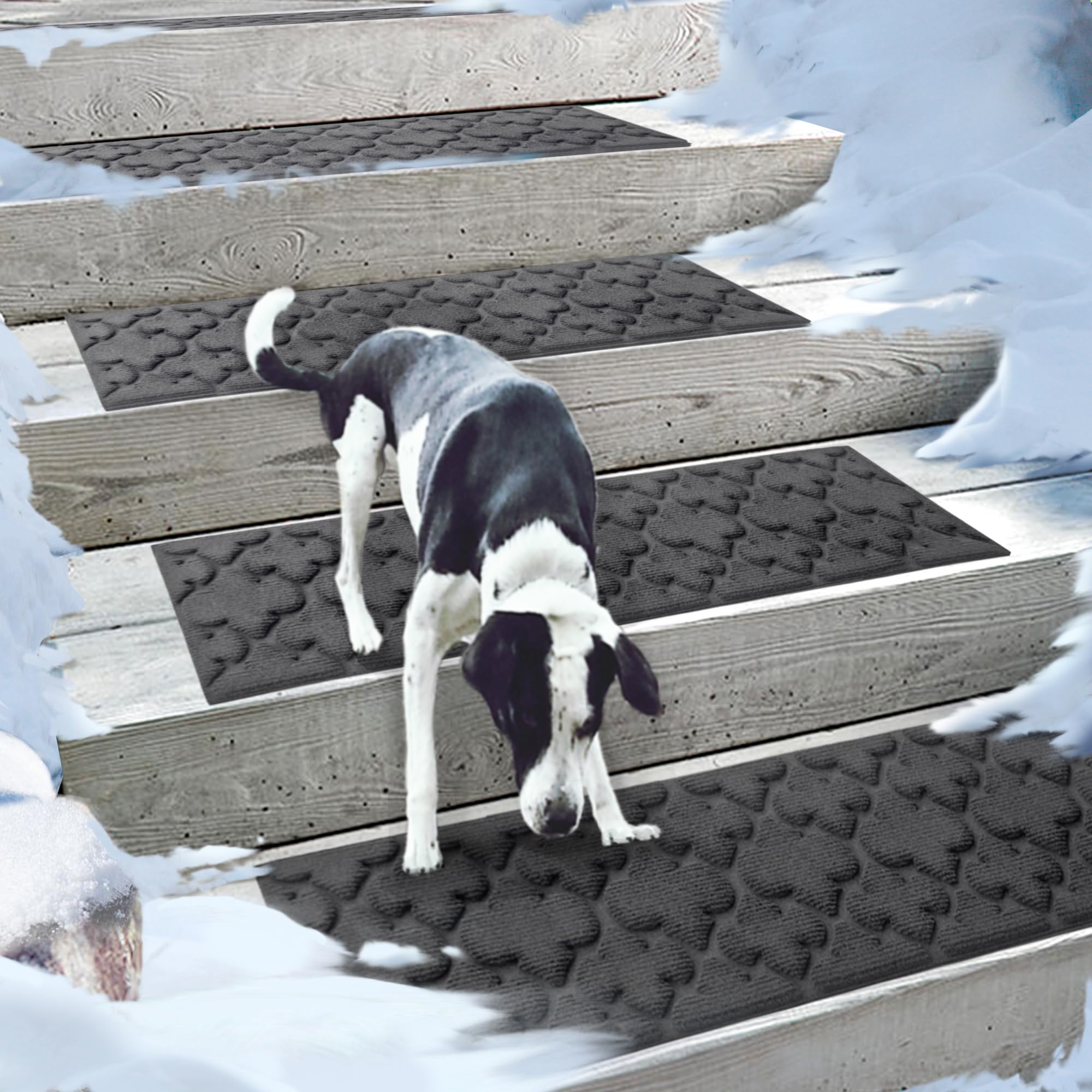 Aucuda 6 Packs Stair Treads for Wooden Steps Indoor Outdoor Christmas