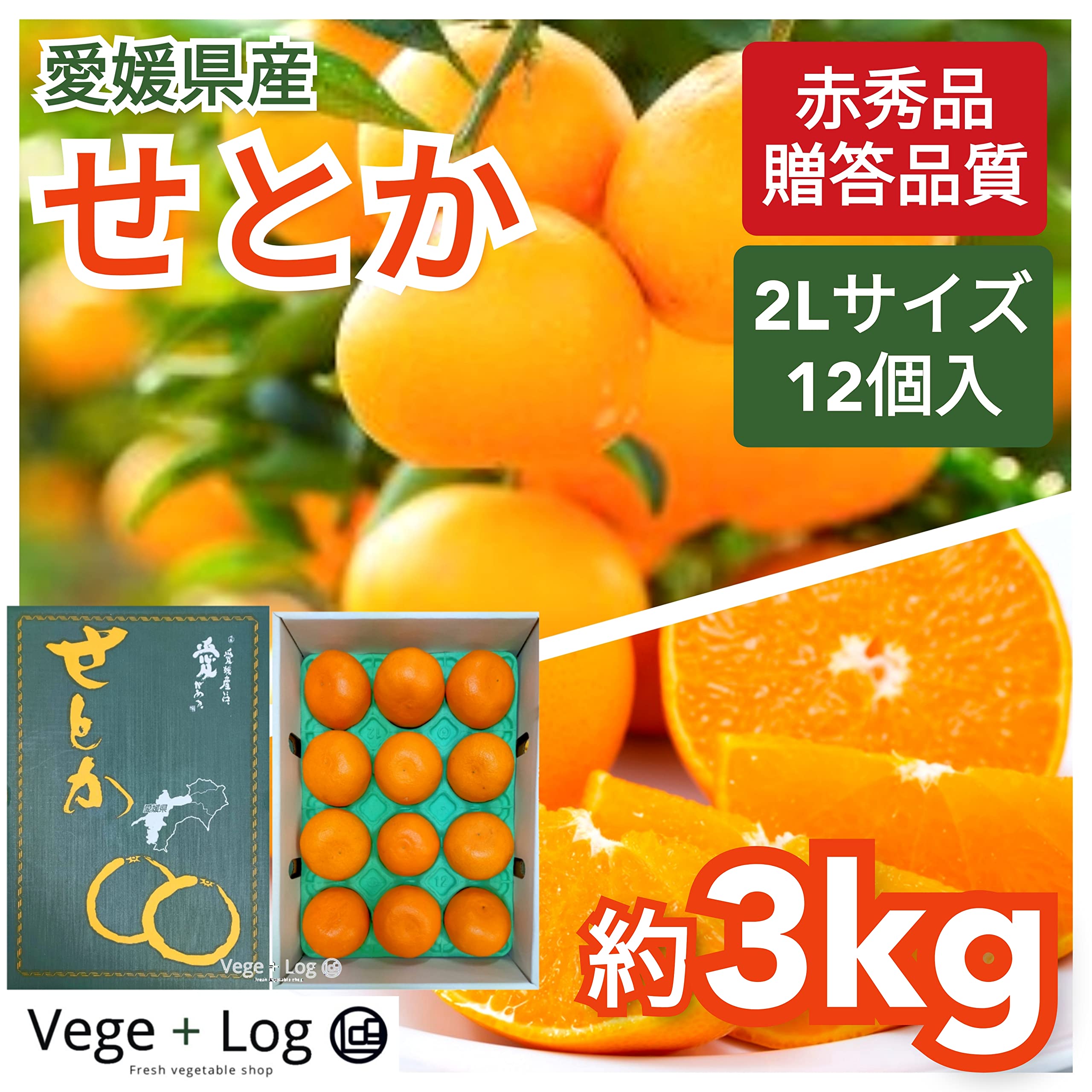 Amazon.co.jp: 愛媛県産 柑橘の王様「せとか」 赤秀品 2Lサイズ 12個入 