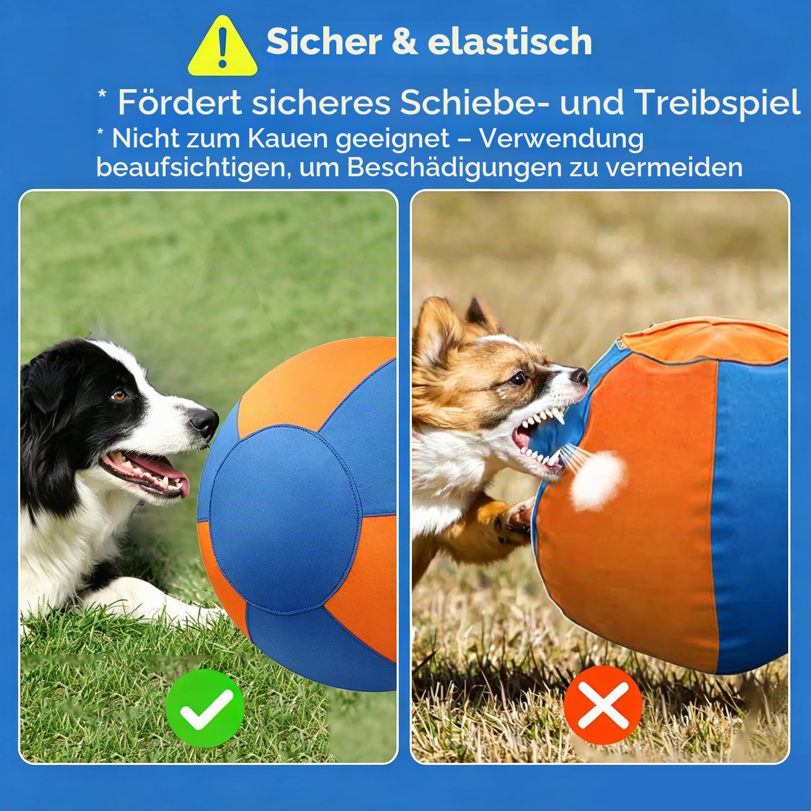 Hüteball für Mittelgroße und Große Hunde Aufblasbarer Hundeball Interaktives Spielzeug Selbstunterhaltender Trainingsball für Australian Shepherd Border Collie (Blau-Orange, 55cm)
